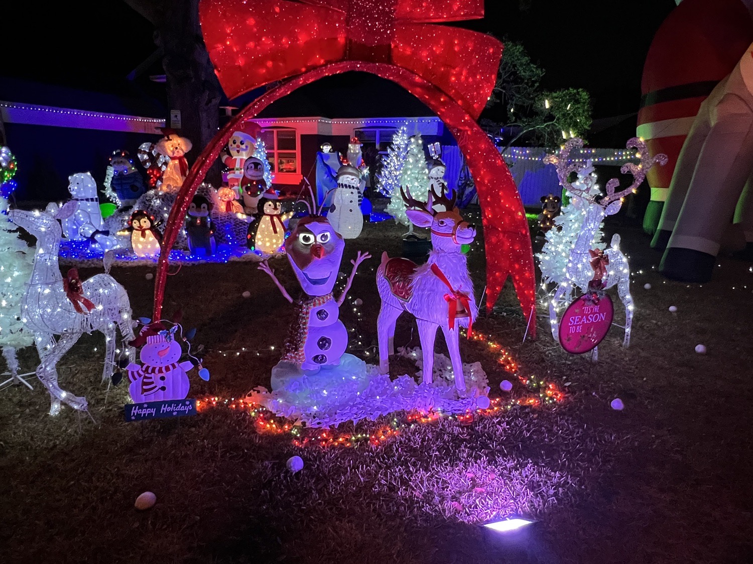Christmas Cheer, Christmas lights in Orlando, FL (photo 1)