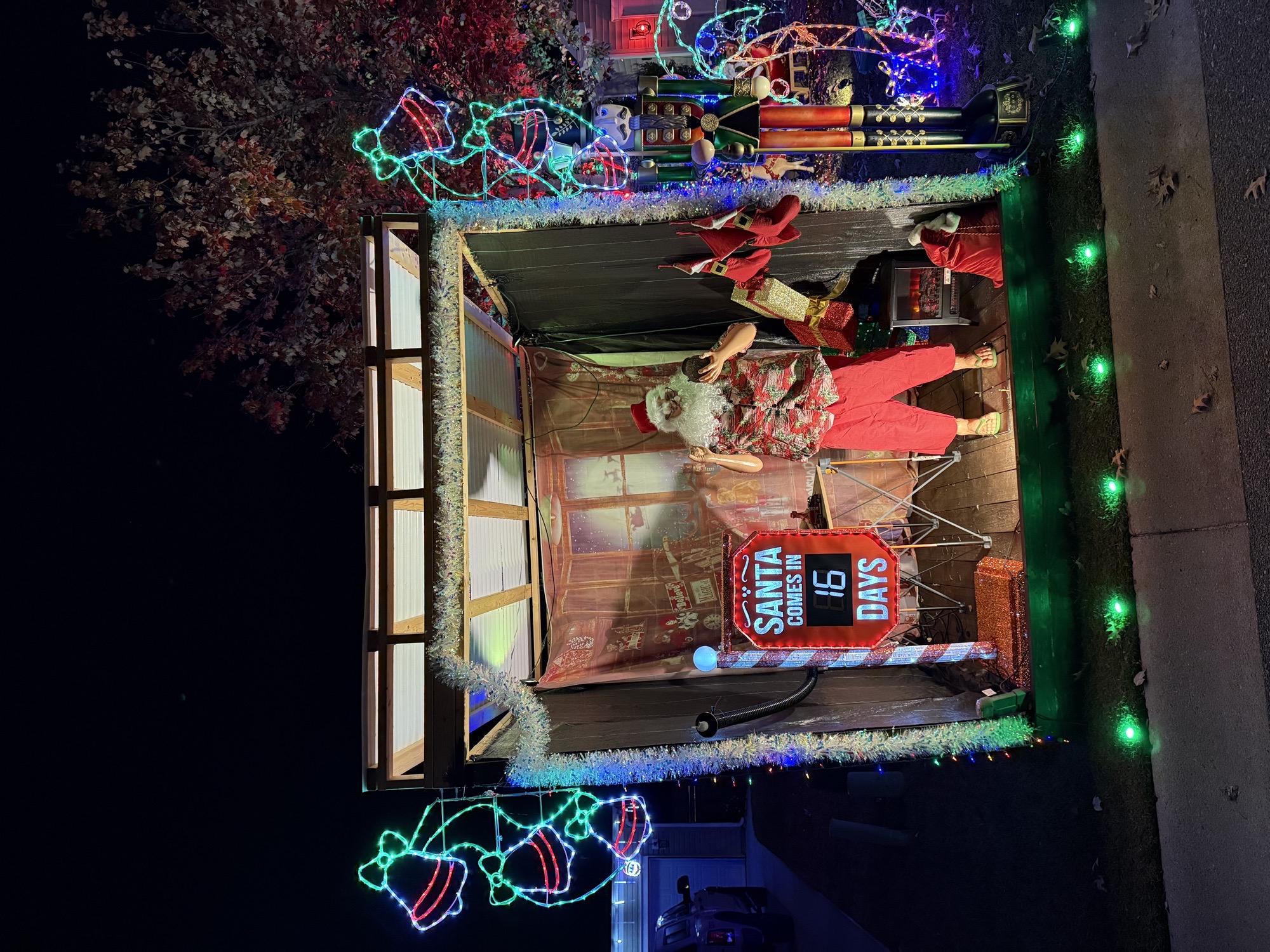 Merry And Mirth On Wild Indigo, Christmas lights in Hanahan, SC (photo 1)