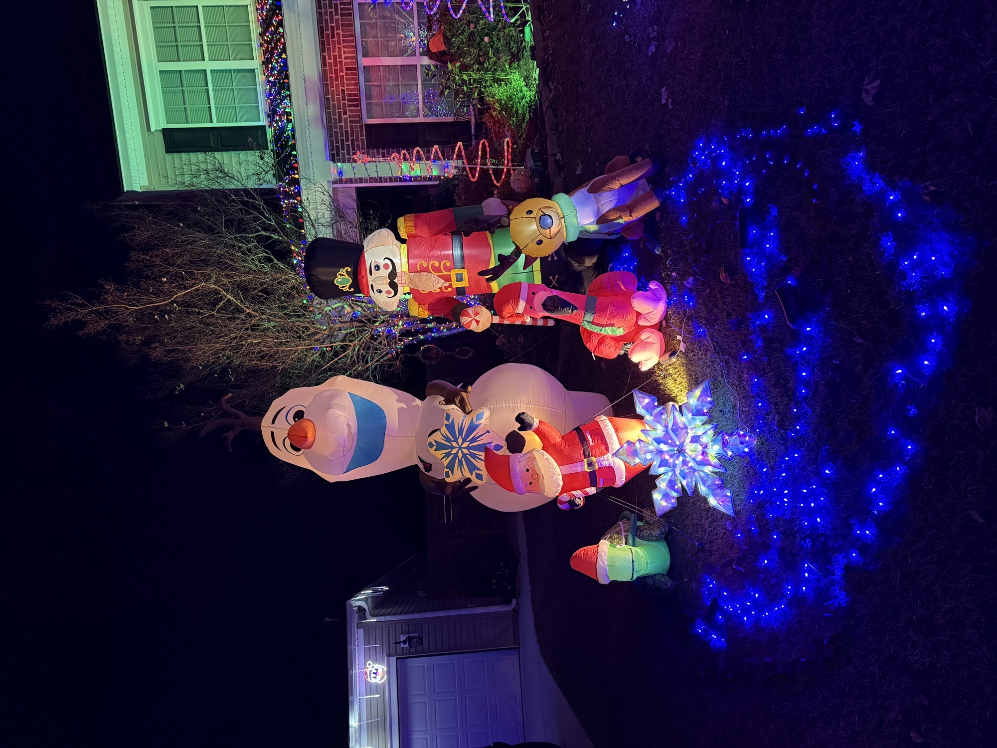 Merry And Mirth On Wild Indigo, Christmas lights in Hanahan, SC (photo 2)