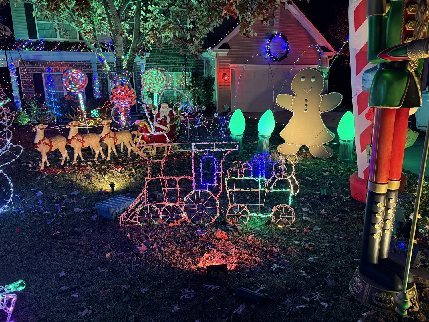 Merry And Mirth On Wild Indigo, Christmas lights in Hanahan, SC (photo 3)