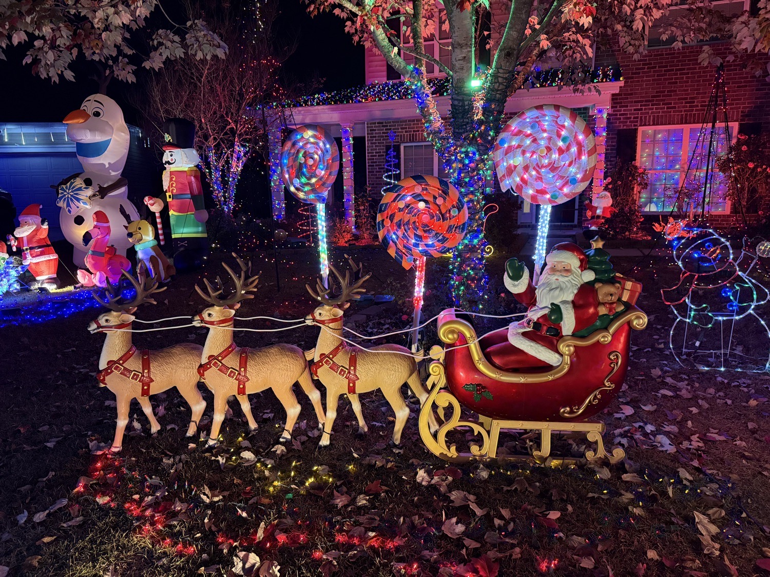 Merry And Mirth On Wild Indigo, Christmas lights in Hanahan, SC (photo 5)