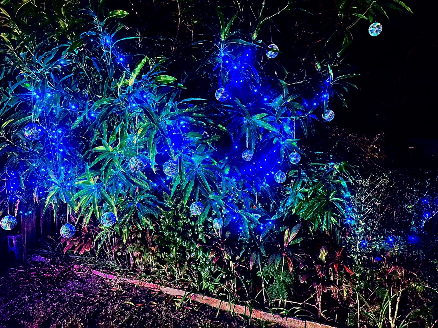 Club Christmas With DJ Santa, Christmas lights in Titusville, FL (photo 2)