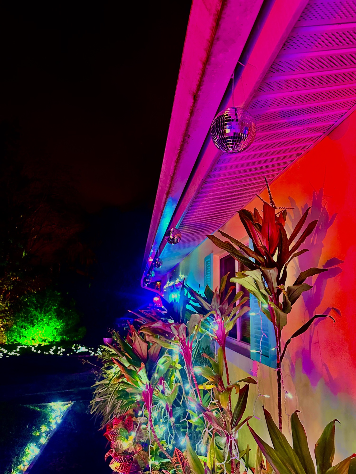 Club Christmas With DJ Santa, Christmas lights in Titusville, FL (photo 5)