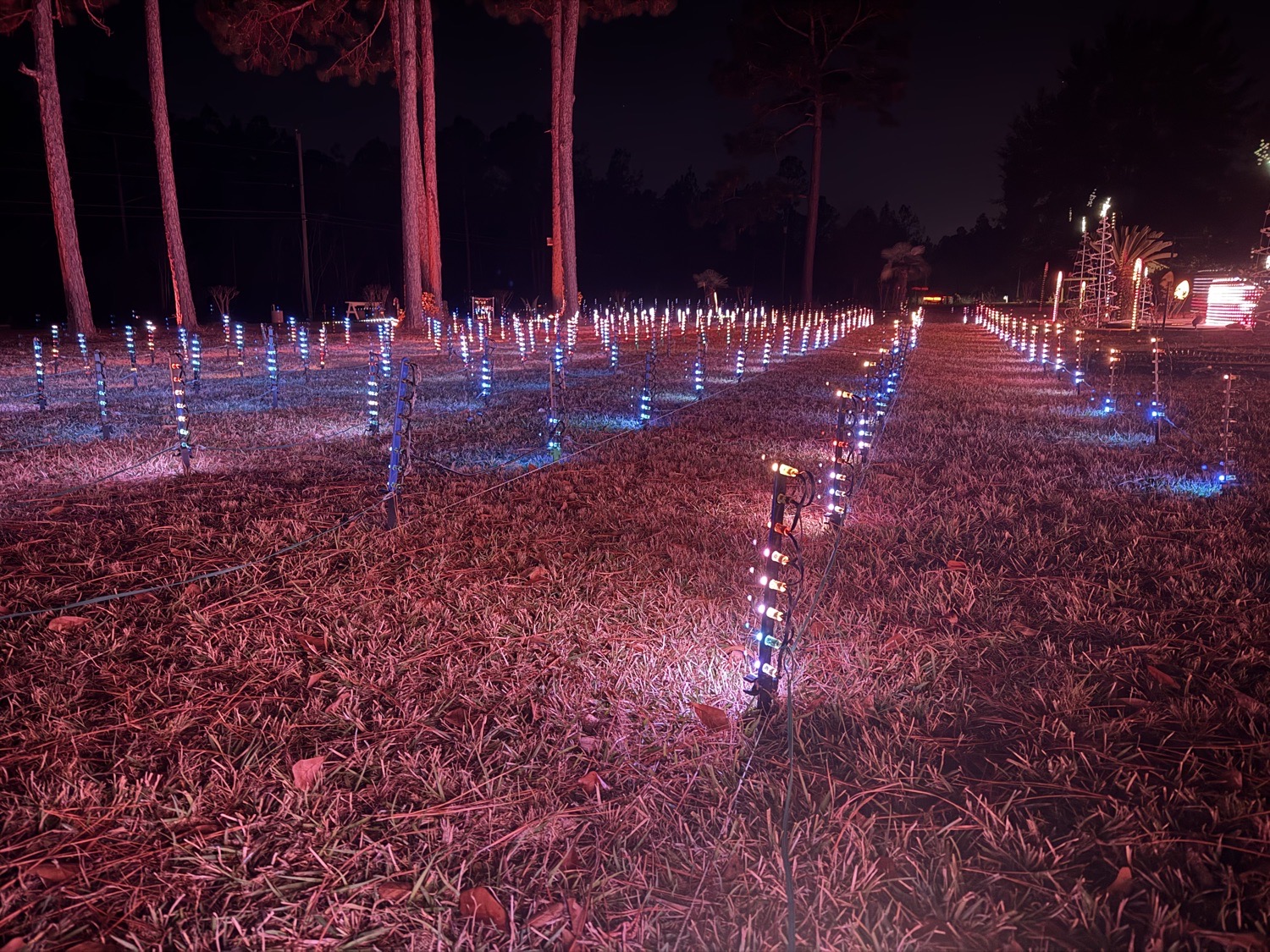 Lights on Daisy Vestry *Bui Family Free Light Show Biloxi*, Christmas lights in Biloxi, MS (photo 4)