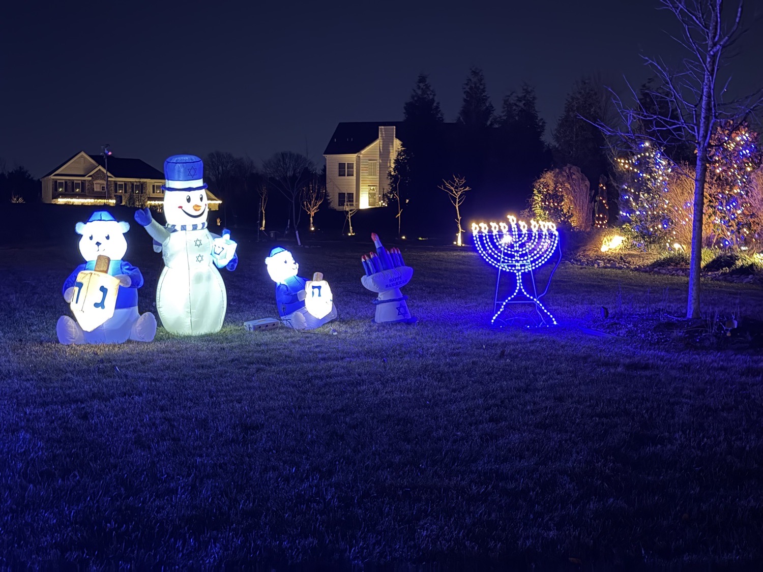 Interfaith Inflatable And Multicolor light Spectacular!, Christmas lights in Ivyland, PA (photo 3)
