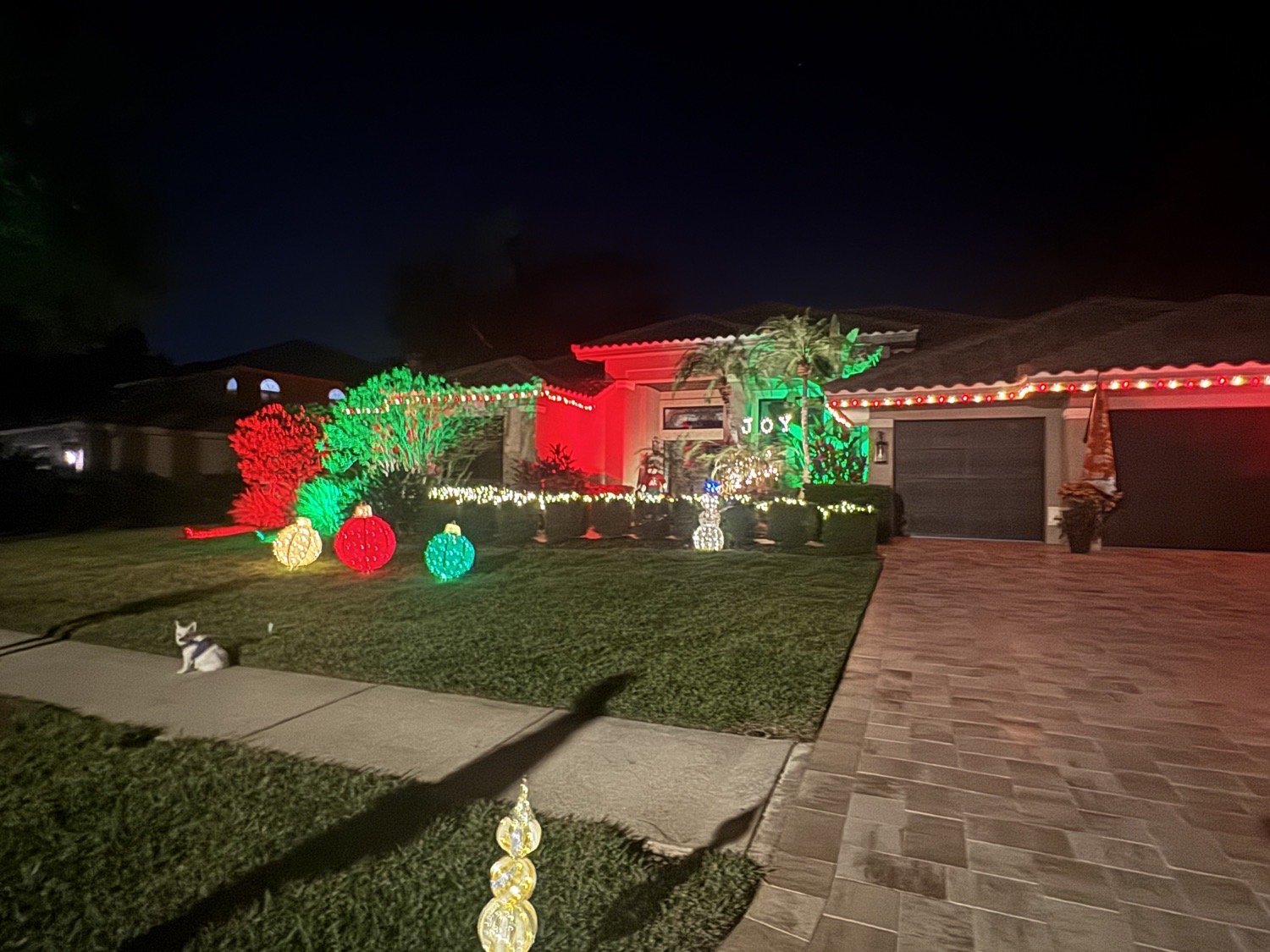 Visit Us, Christmas lights in Oldsmar, FL (photo 2)