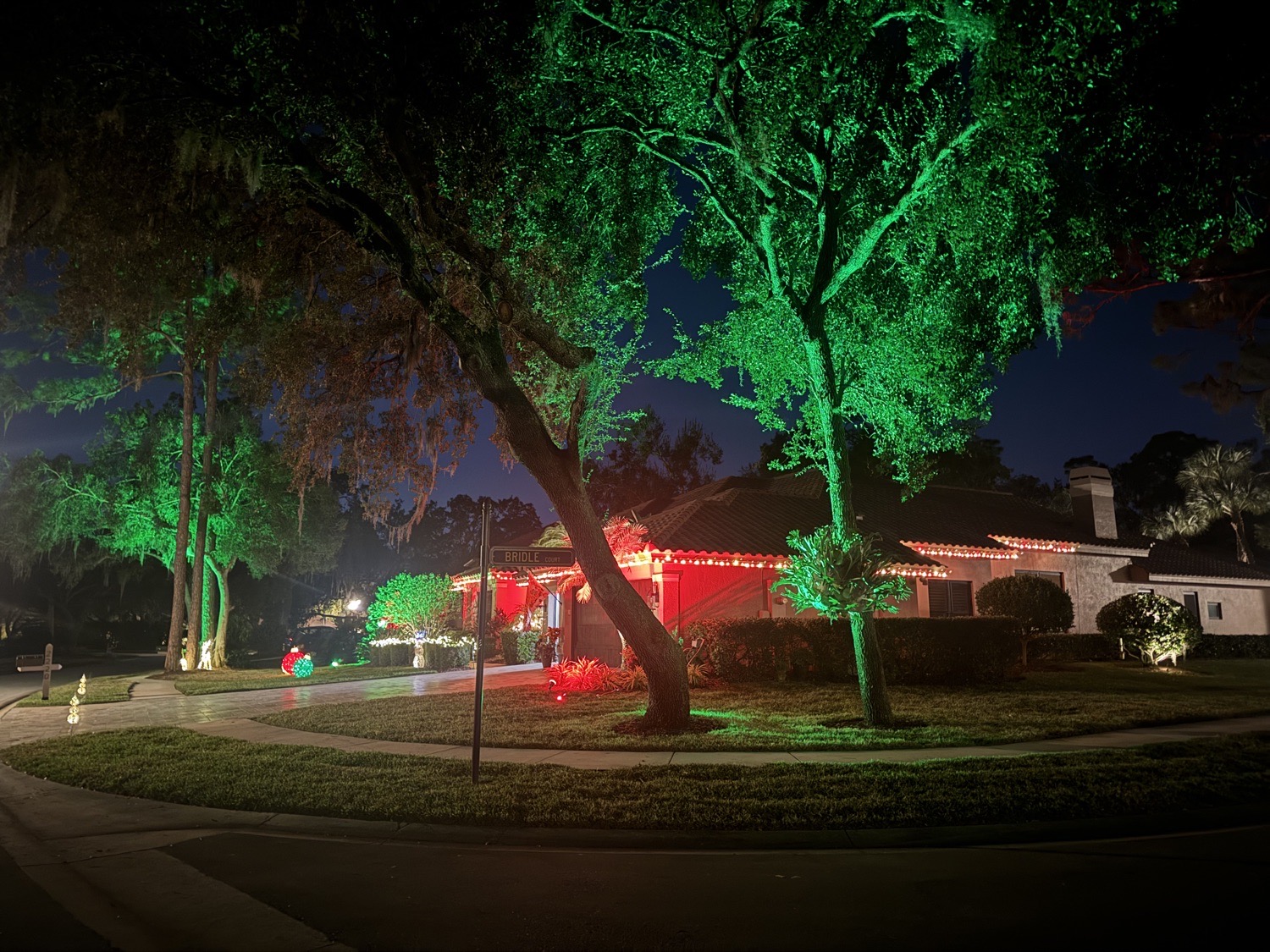 Visit Us, Christmas lights in Oldsmar, FL (photo 3)