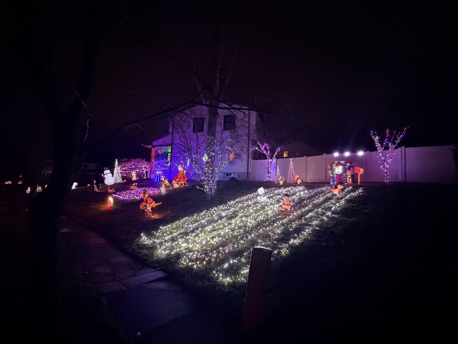 Make TWP Bright Again, Christmas lights in Sewell, NJ (photo 2)