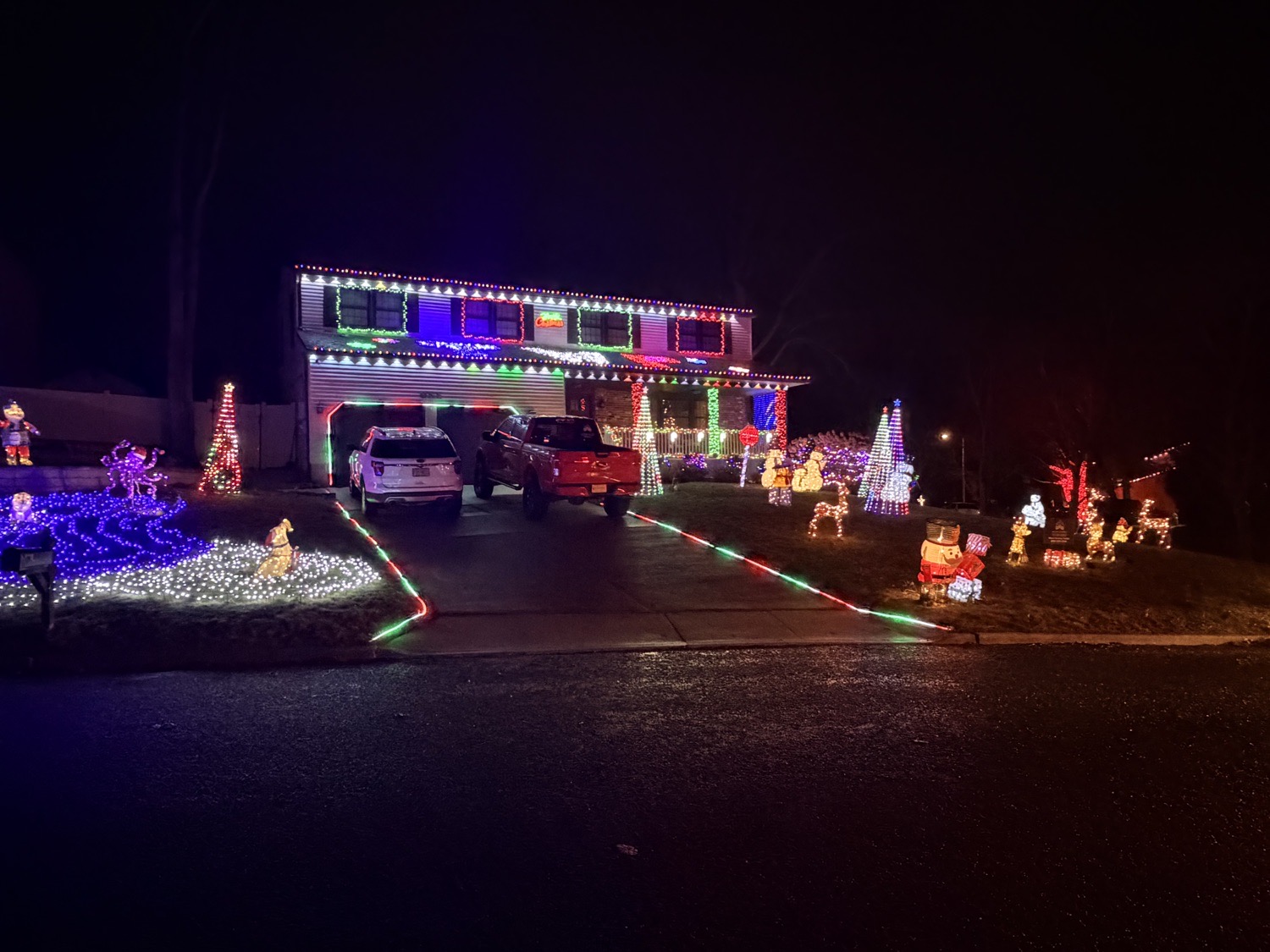 Make TWP Bright Again, Christmas lights in Sewell, NJ (photo 5)