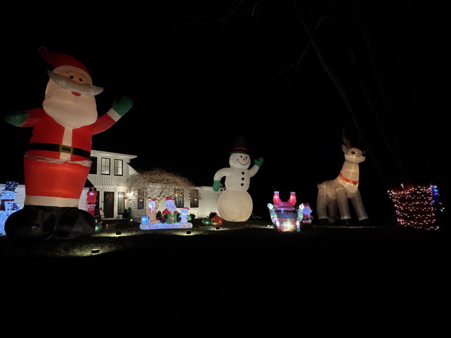 Mayapple Christmas!, Christmas lights in West Chester, PA (photo 1)