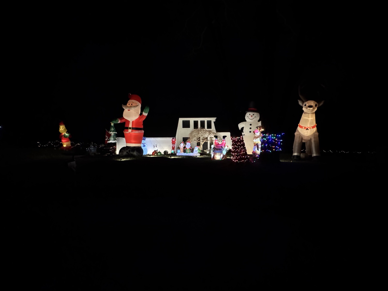 Mayapple Christmas!, Christmas lights in West Chester, PA (photo 3)