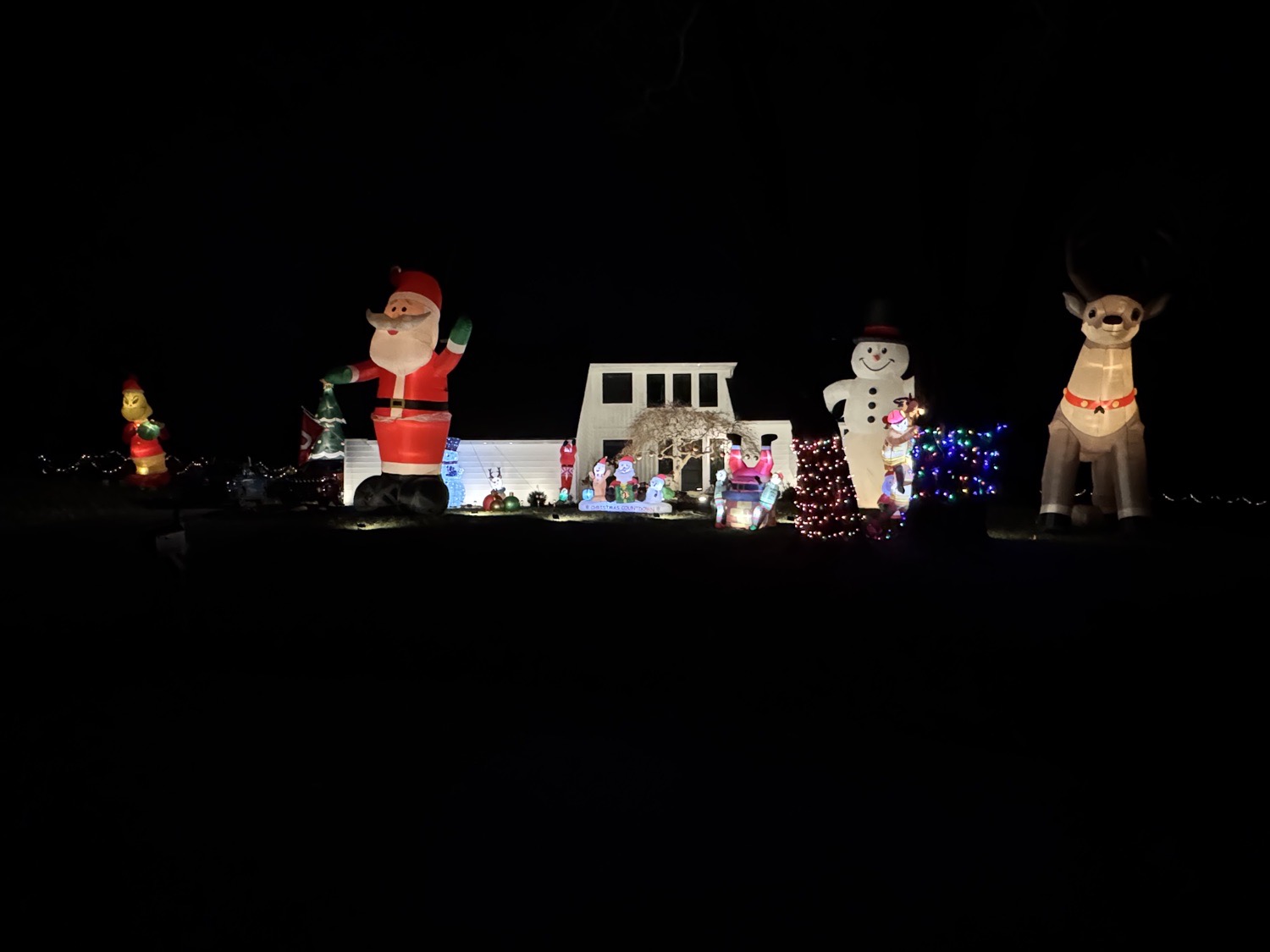 Mayapple Christmas!, Christmas lights in West Chester, PA (photo 5)