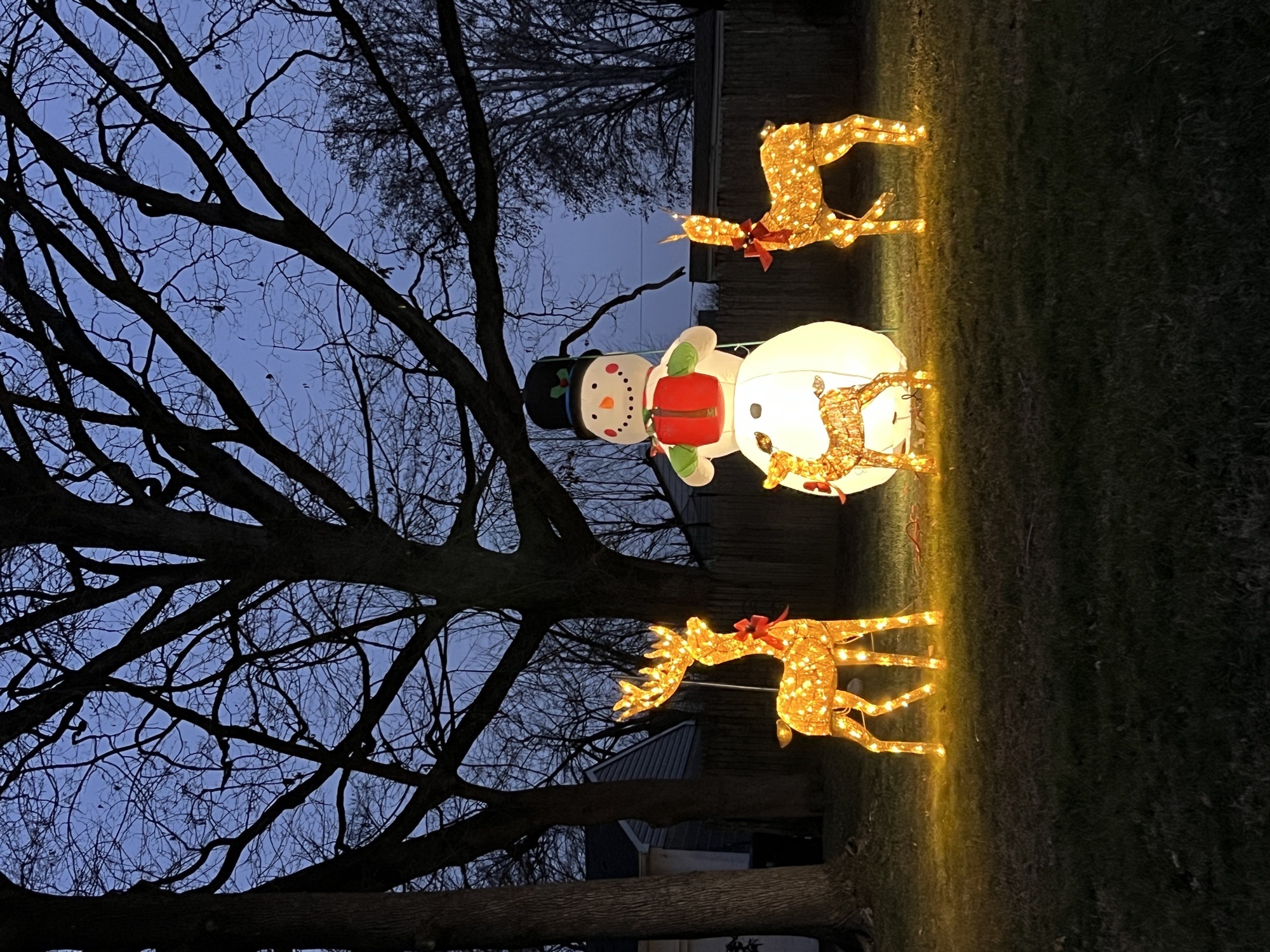 Classic Christmas, Christmas lights in Glenside, PA (photo 2)
