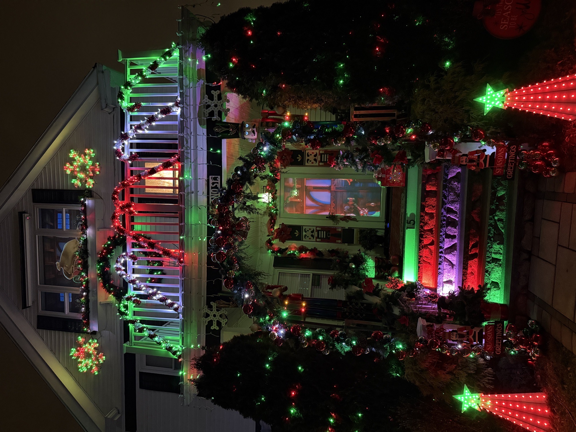 Holiday On Albano, Christmas lights in Boston, MA (photo 2)