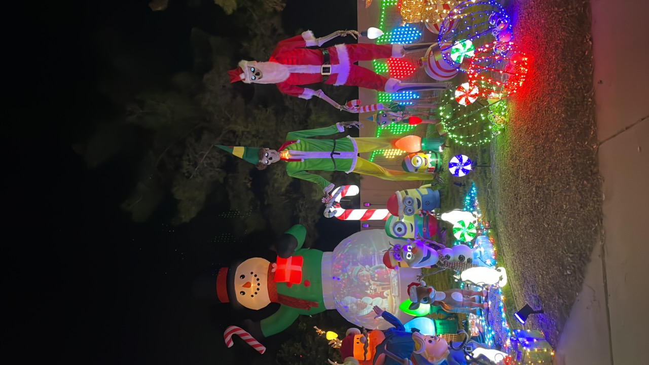 Elves On Barberry, Christmas lights in Chandler, AZ (photo 2)