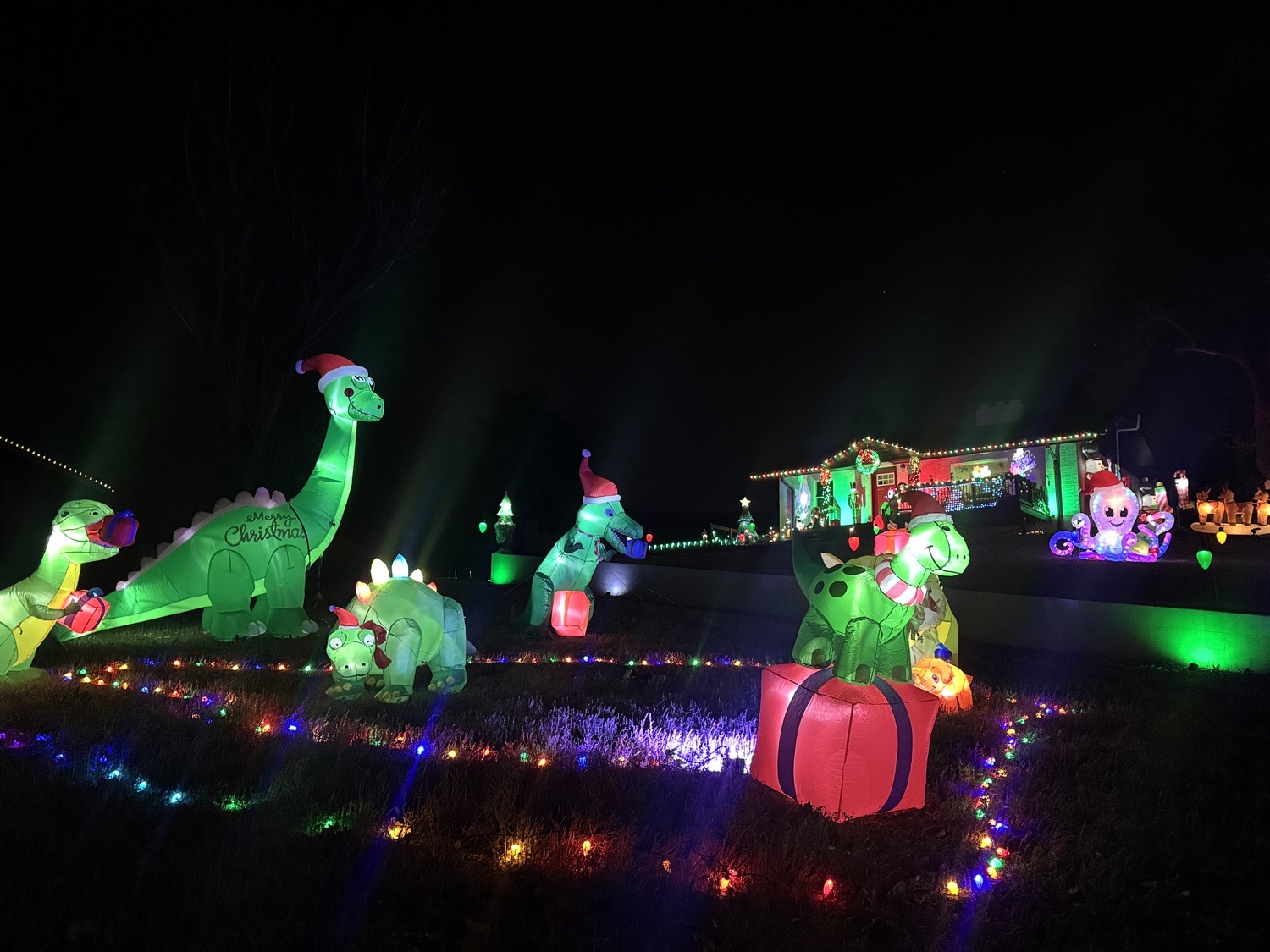 A Whole Lot of Jolly!, Christmas lights in Englewood, CO (photo 1)