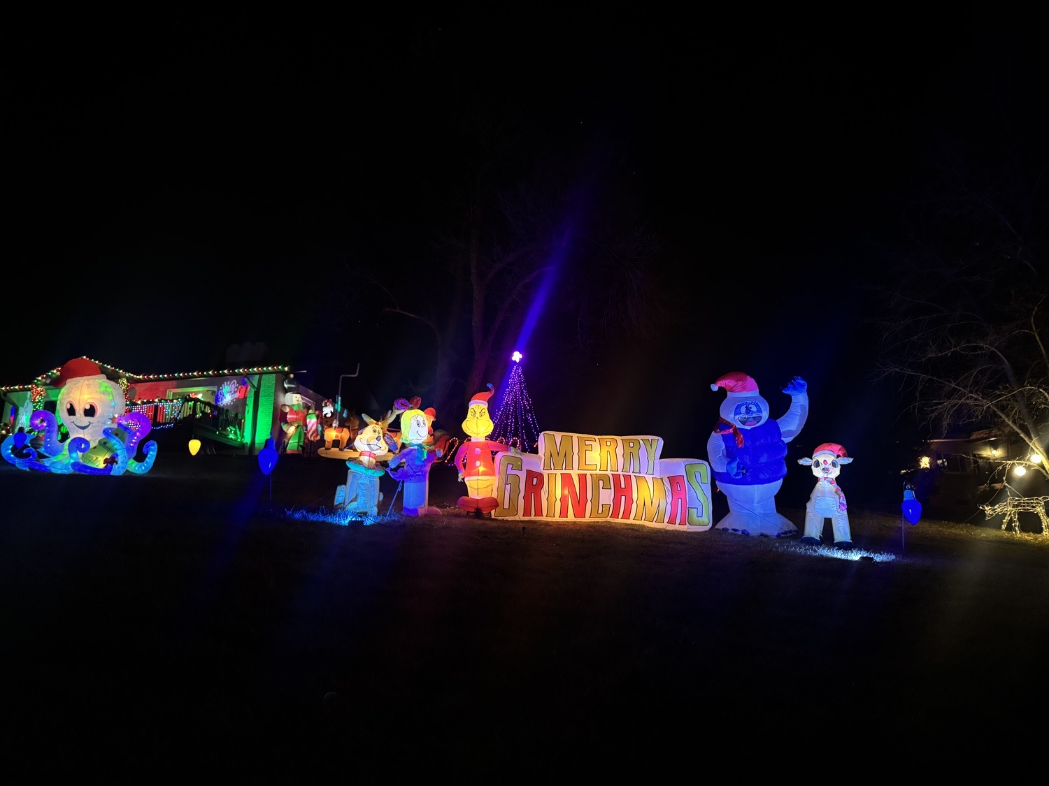 A Whole Lot of Jolly!, Christmas lights in Englewood, CO (photo 3)