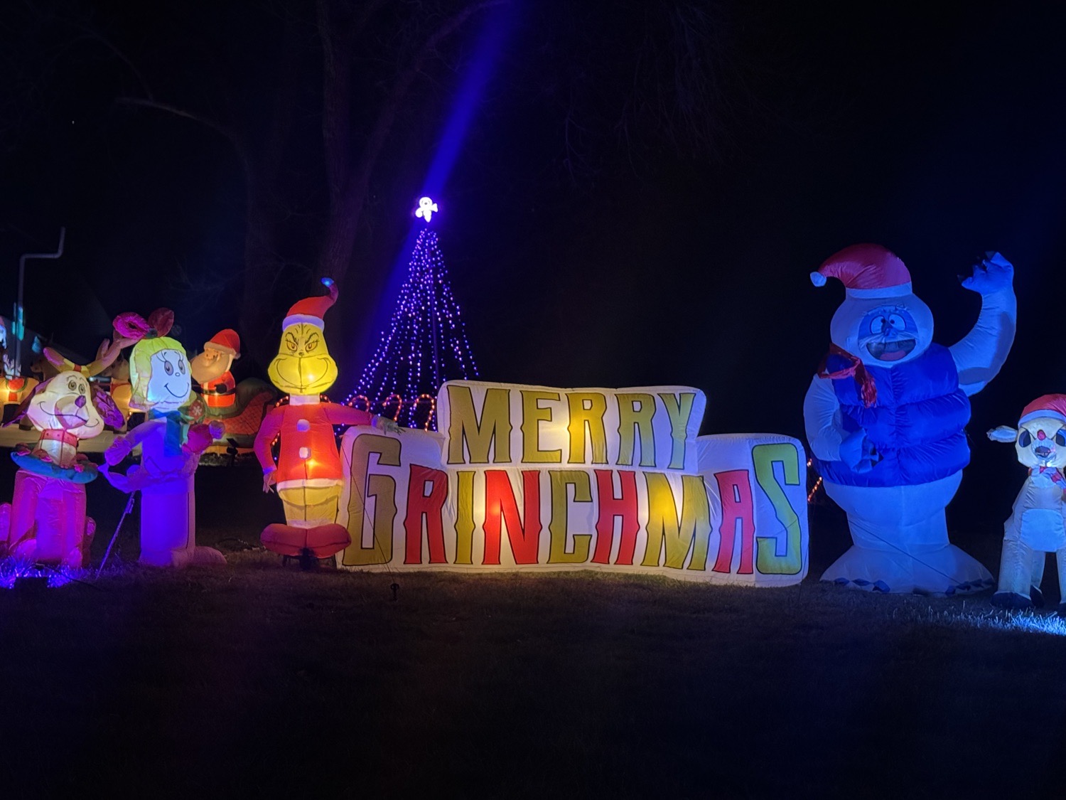 A Whole Lot of Jolly!, Christmas lights in Englewood, CO (photo 4)