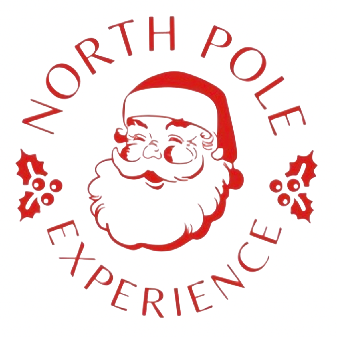 North Pole Experience, Christmas lights in Land O Lakes, FL (photo 1)
