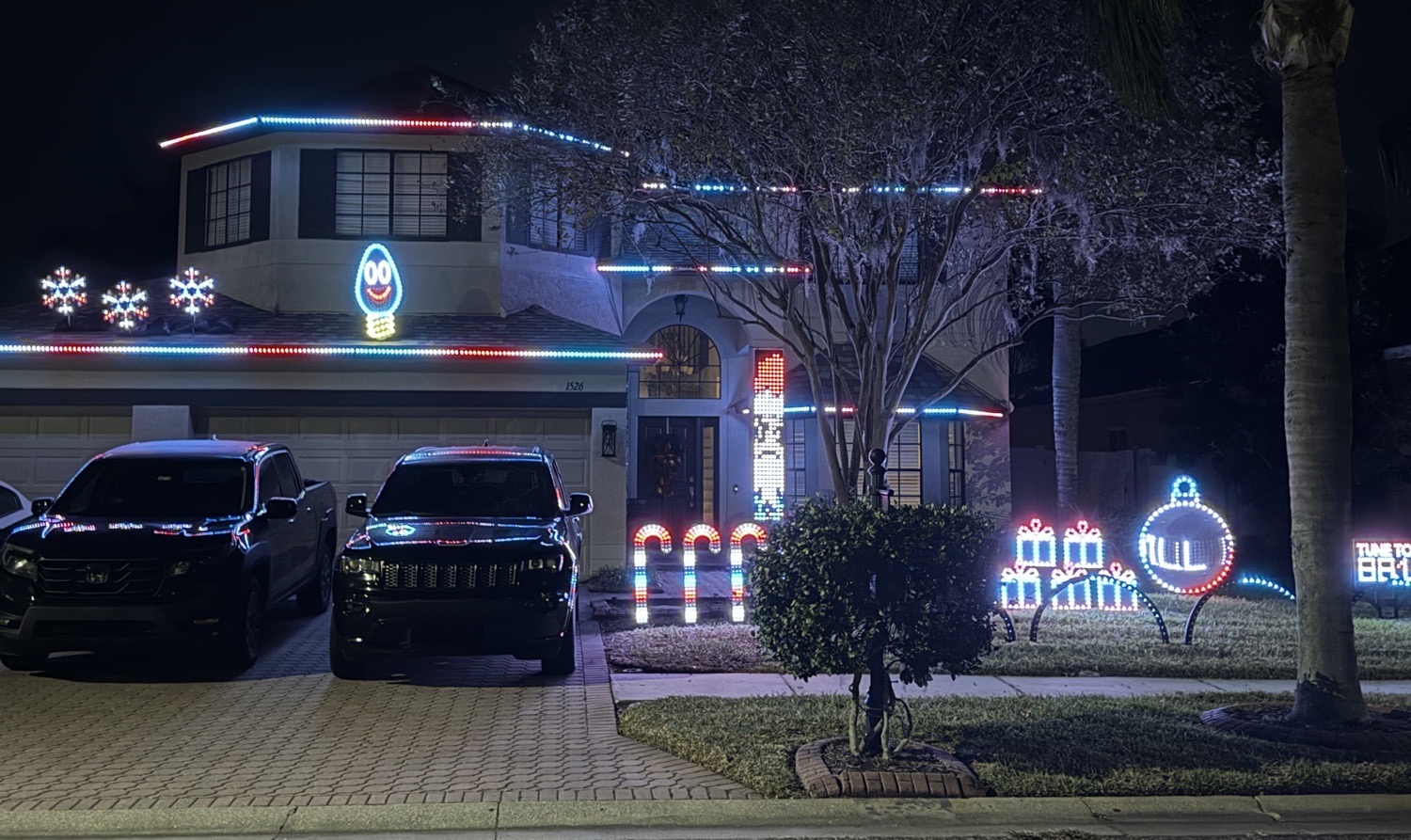 Lights On Regal Mist, Christmas lights in Trinity, FL (photo 1)