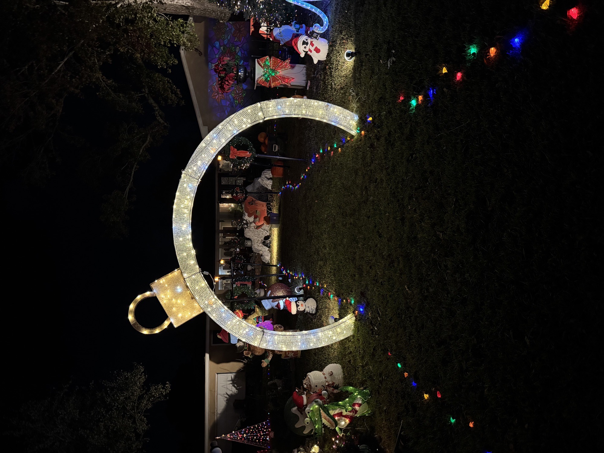 Christmas on Pear Drive, Christmas lights in Abbeville, LA (photo 1)