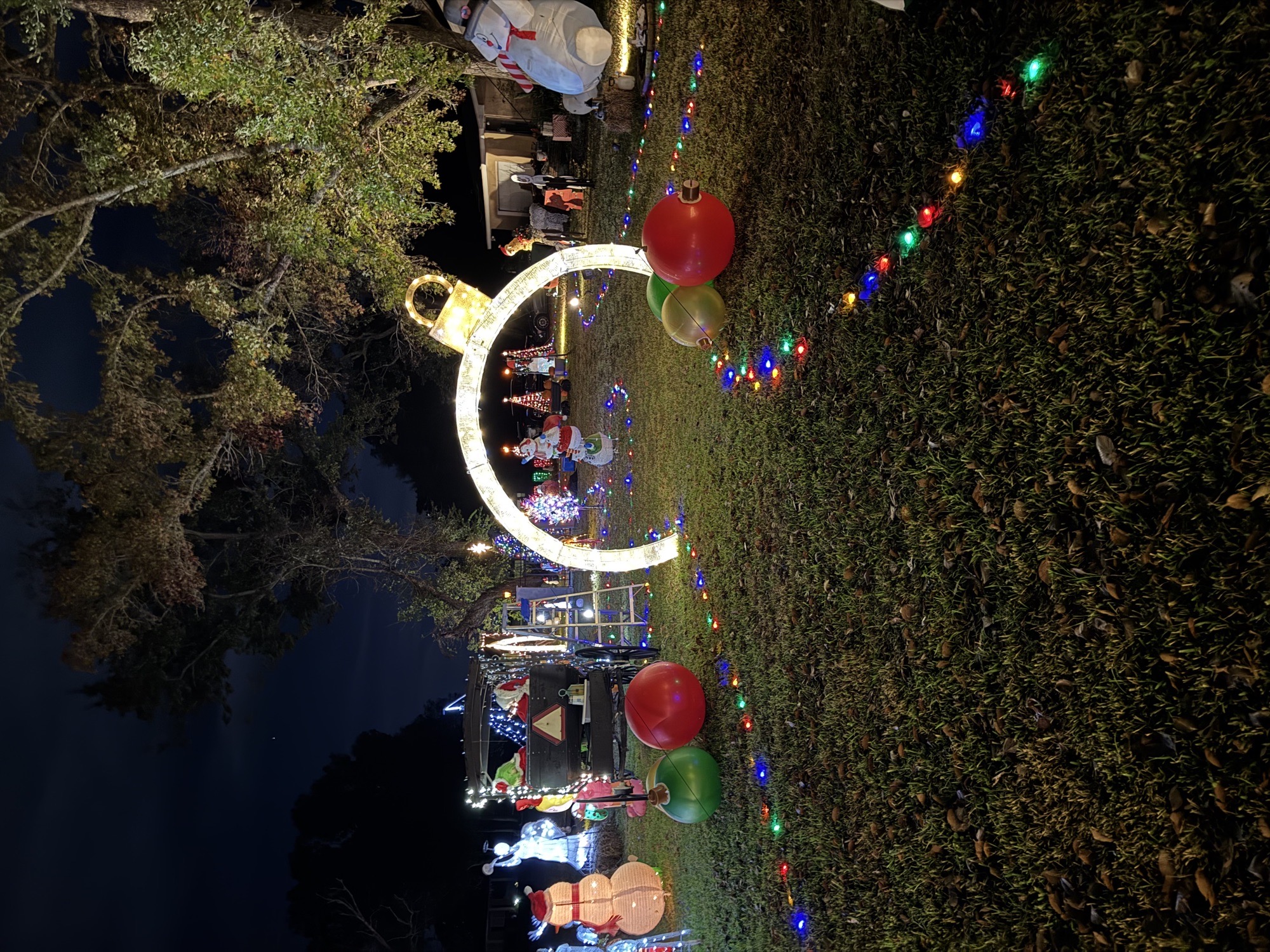 Christmas on Pear Drive, Christmas lights in Abbeville, LA (photo 2)
