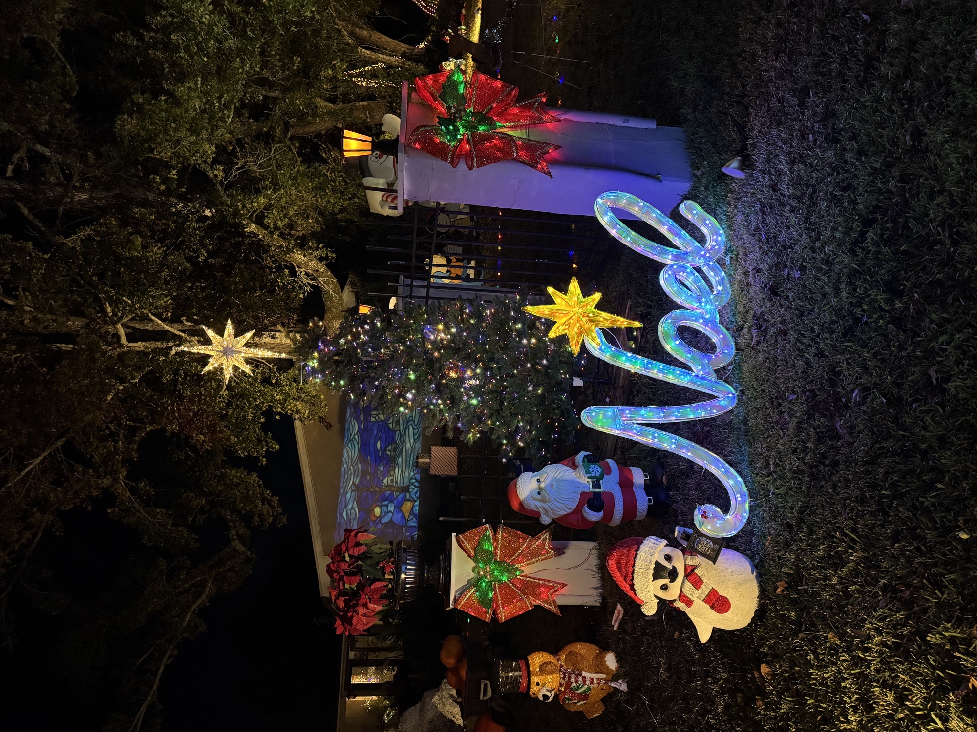 Christmas on Pear Drive, Christmas lights in Abbeville, LA (photo 5)