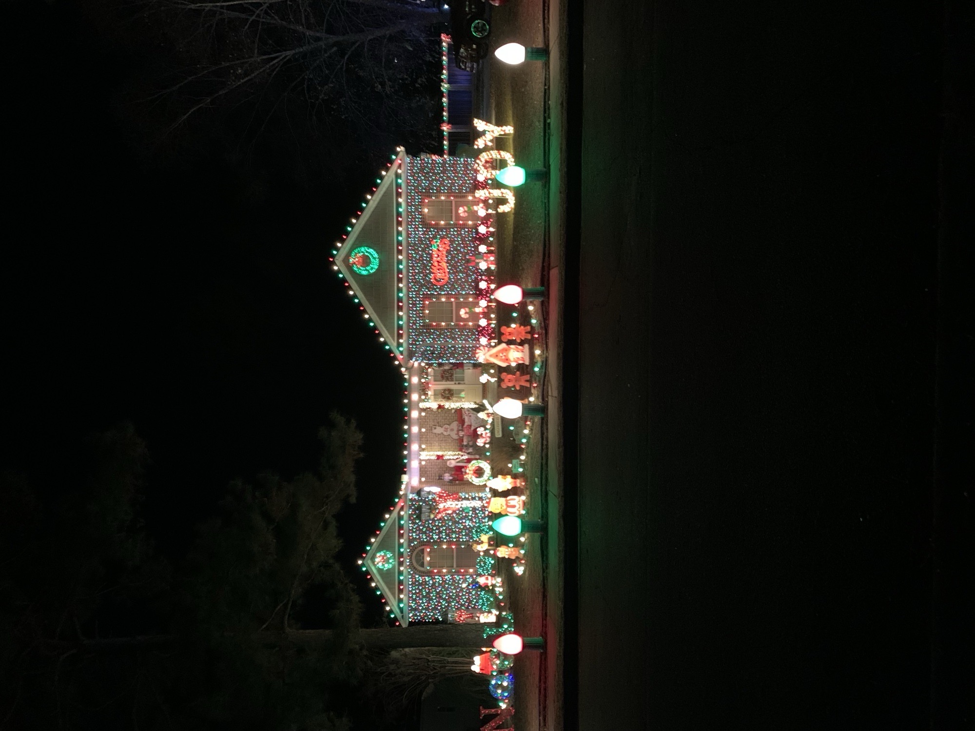Wonderland On Winthrop, Christmas lights in Kathleen, GA (photo 1)