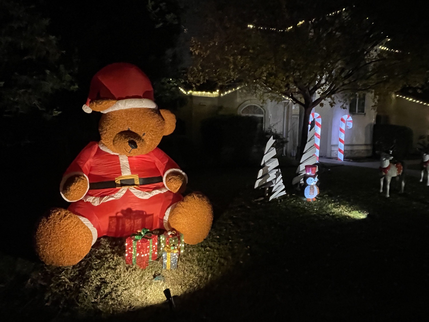 Salazar house, Christmas lights in Selma, CA (photo 4)