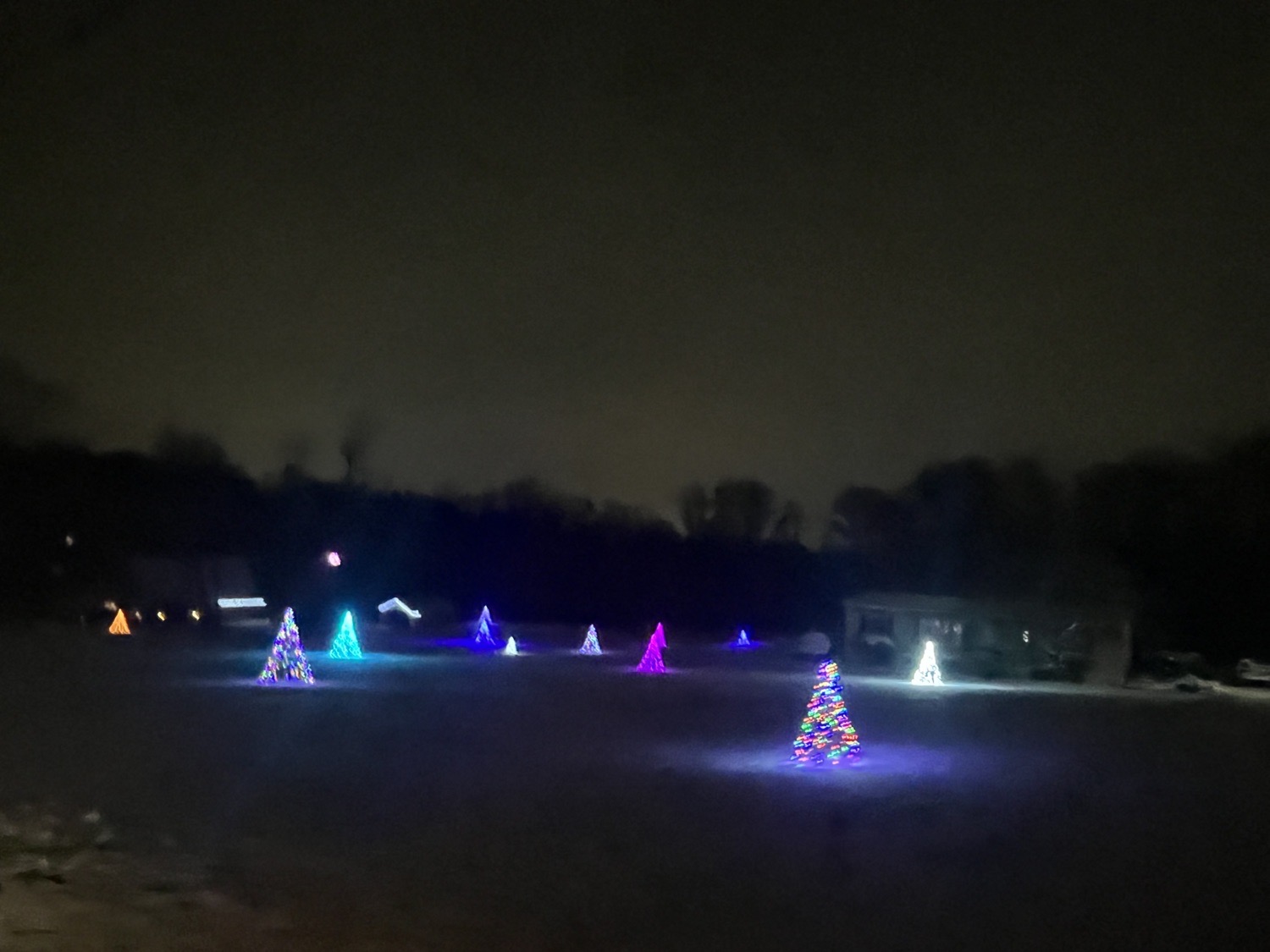 Tree Delight, Christmas lights in Hatfield, PA (photo 1)