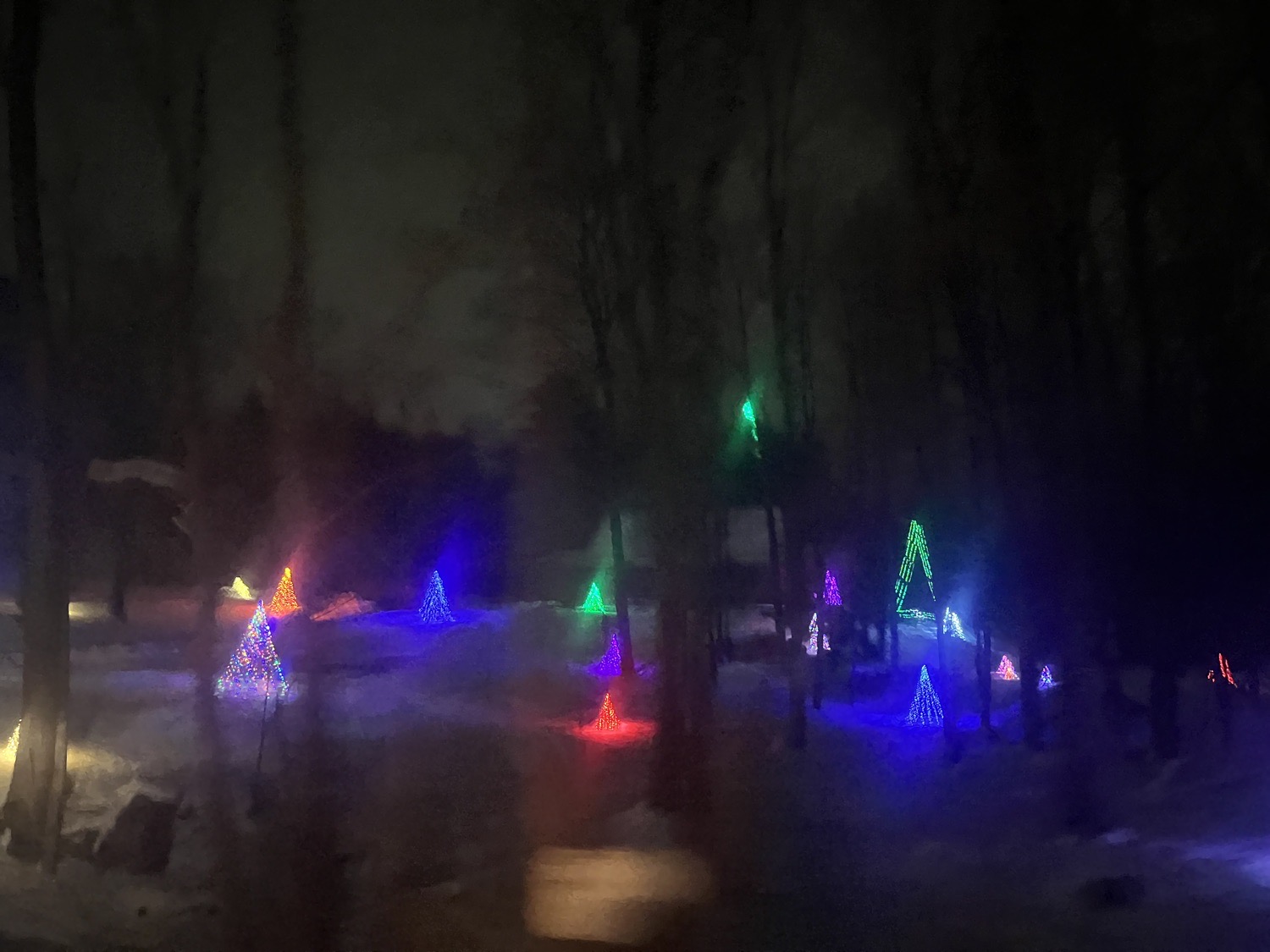 Tree Delight, Christmas lights in Hatfield, PA (photo 2)