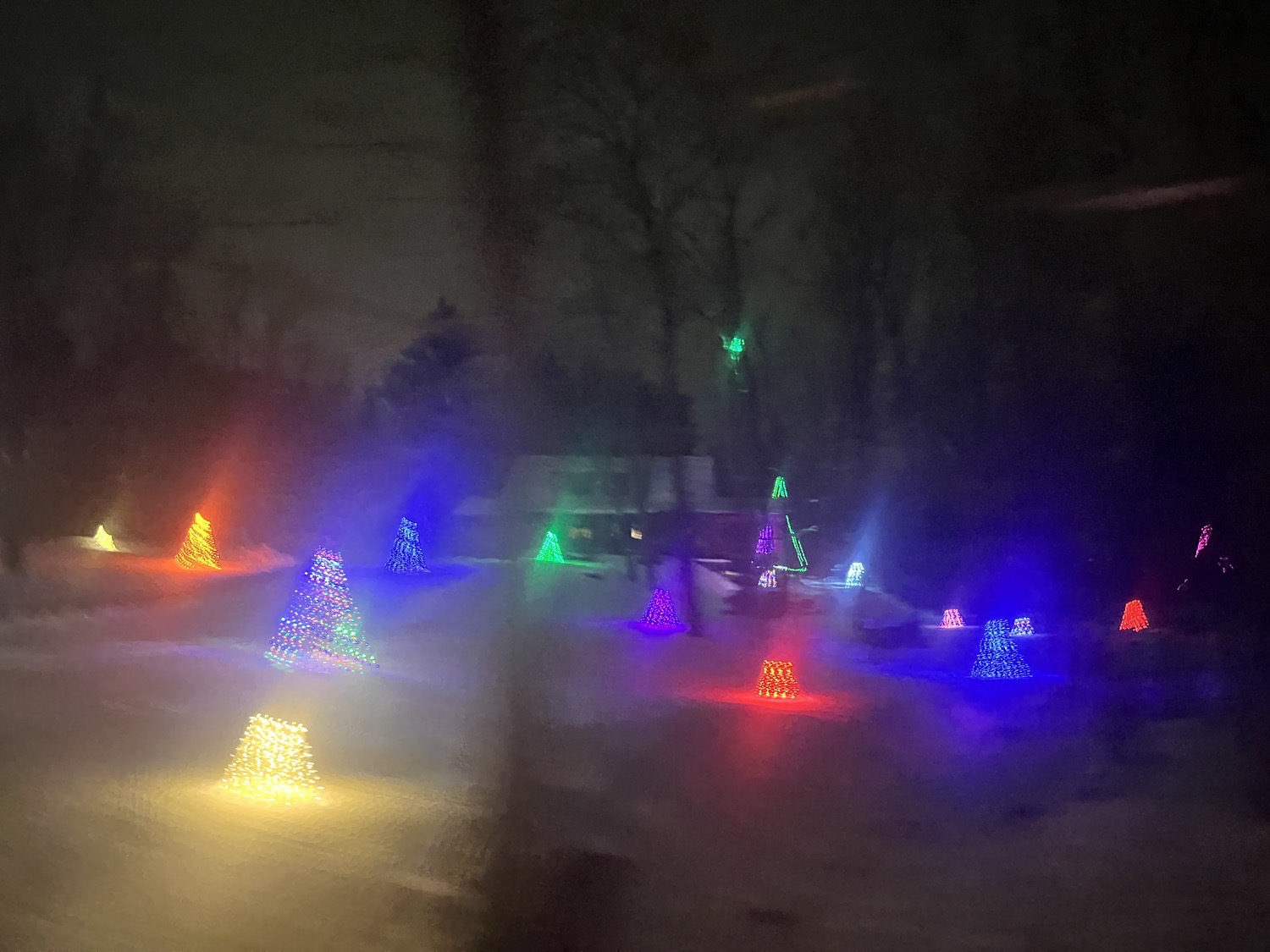 Tree Delight, Christmas lights in Hatfield, PA (photo 4)