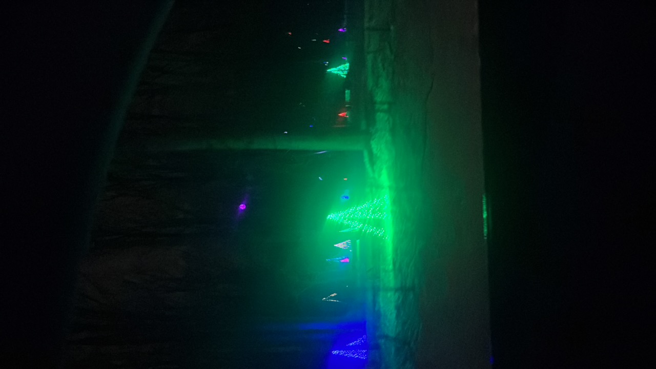 Tree Delight, Christmas lights in Hatfield, PA (photo 5)
