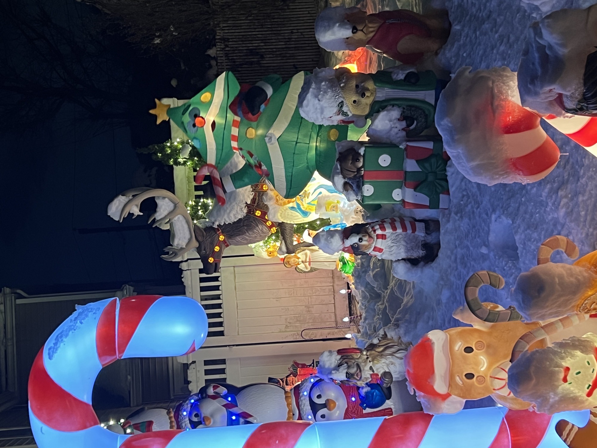 Miracle On Dunstan, Christmas lights in Merrick, NY (photo 2)