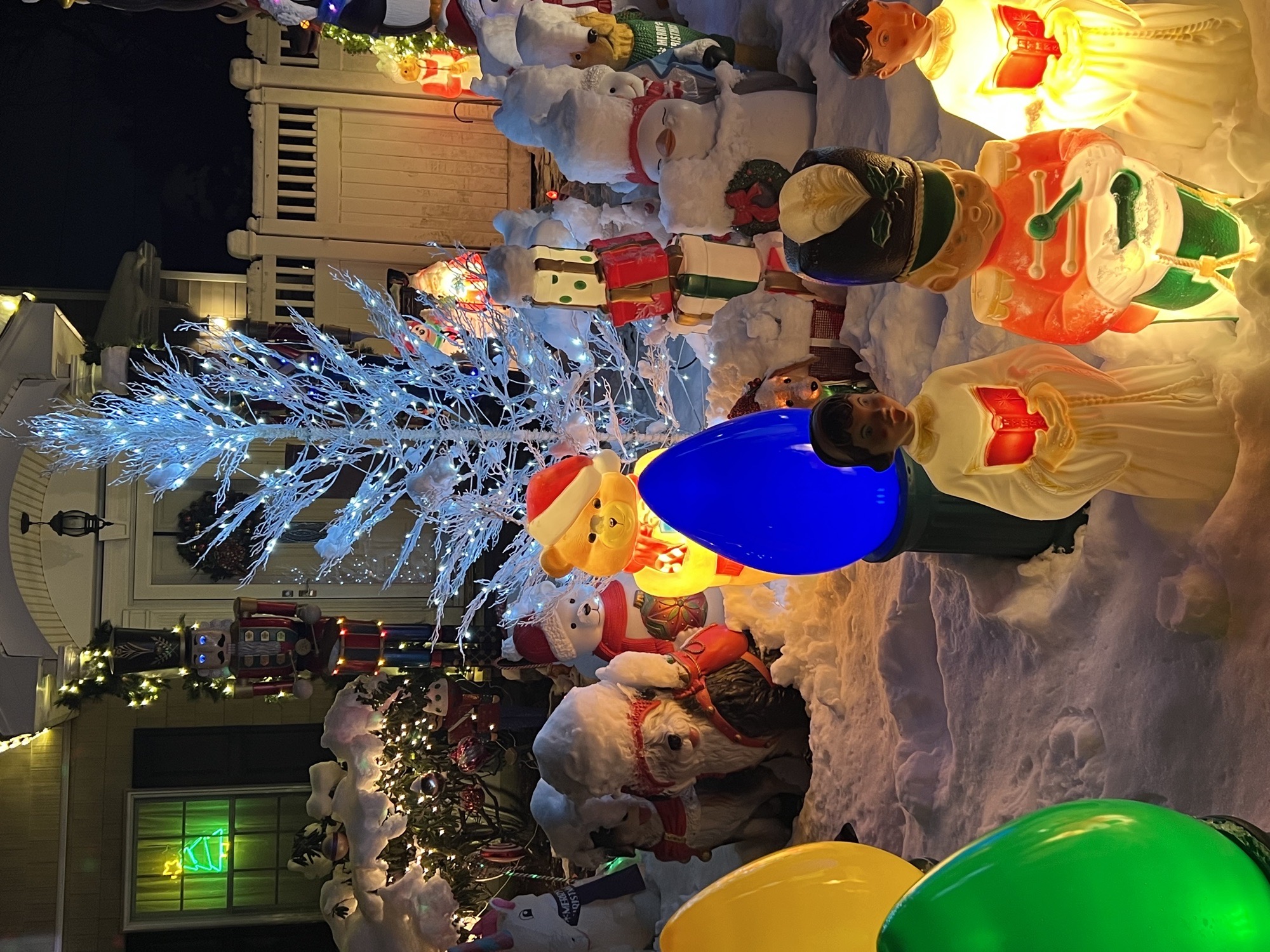 Miracle On Dunstan, Christmas lights in Merrick, NY (photo 3)