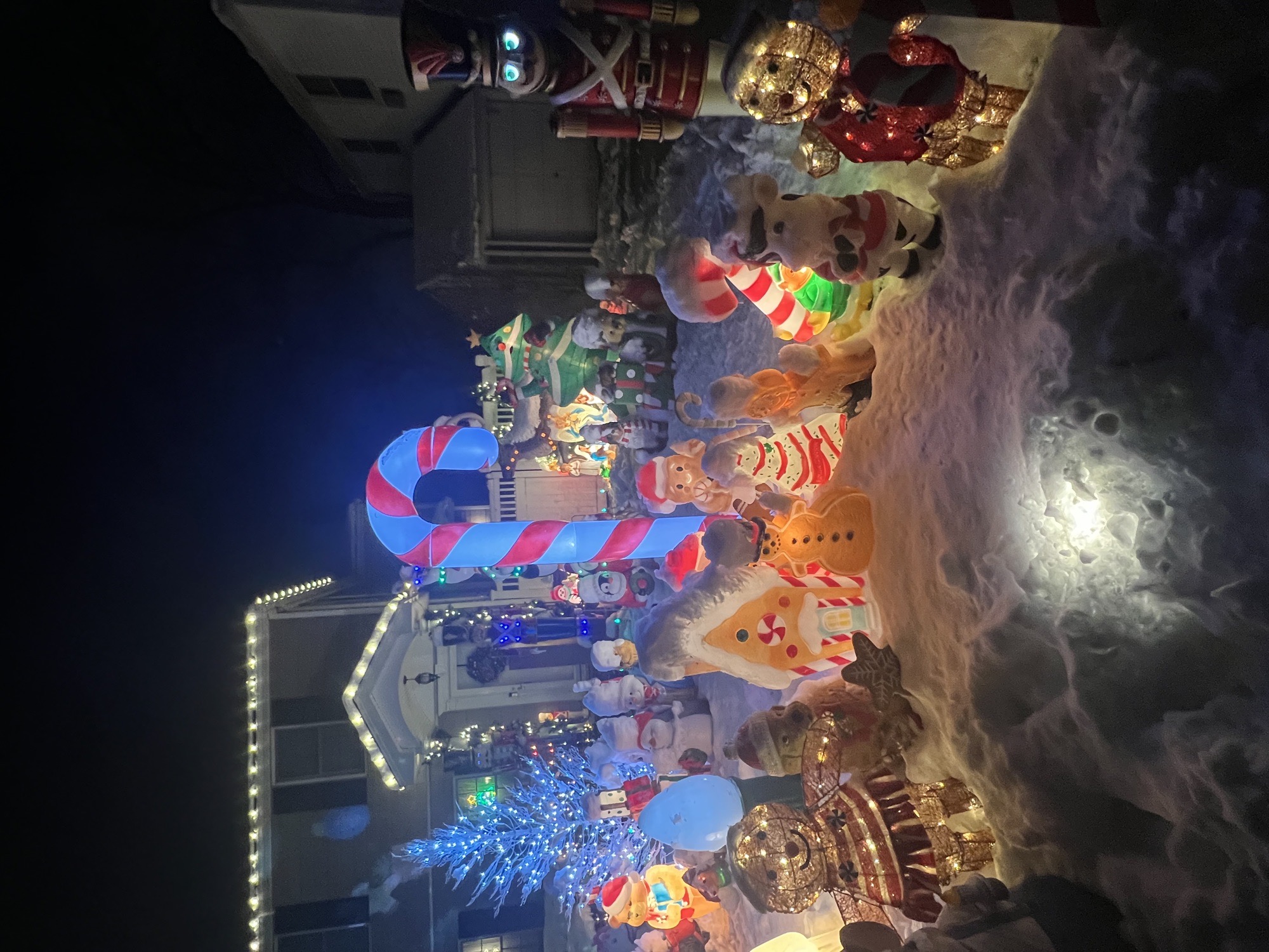 Miracle On Dunstan, Christmas lights in Merrick, NY (photo 5)