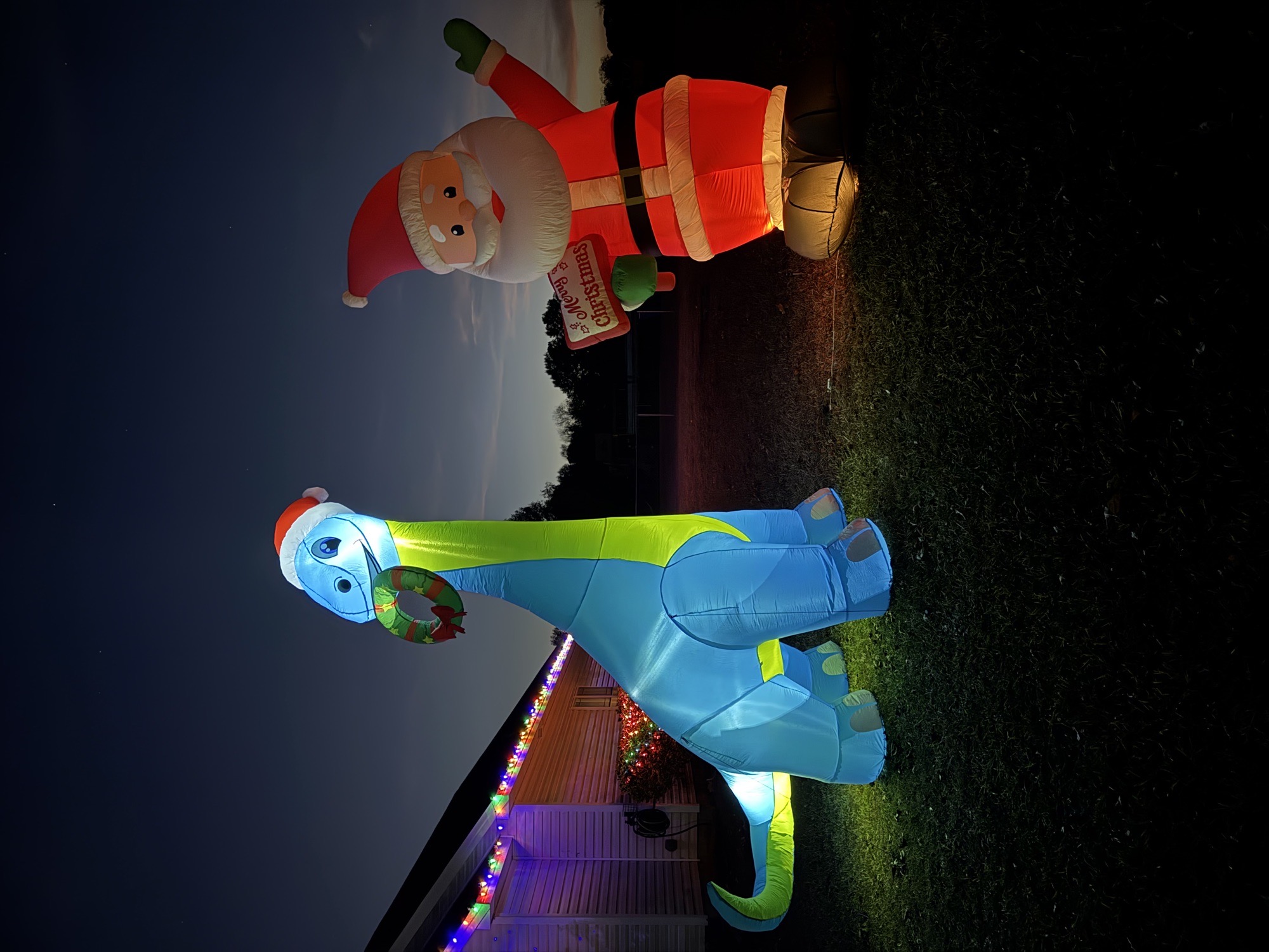 Cute Display, Christmas lights in Byron, GA (photo 1)