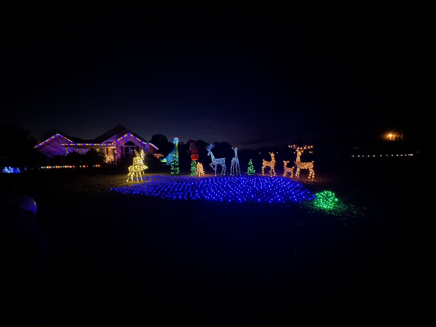 Cute Display, Christmas lights in Byron, GA (photo 2)