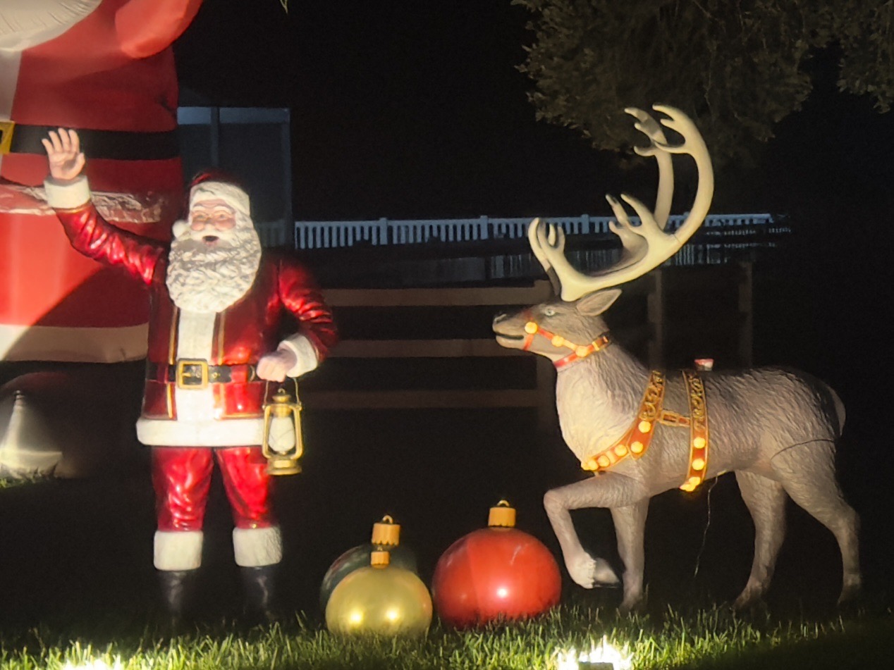 Christmas Yard Display, Christmas lights in Winter Haven, FL (photo 3)