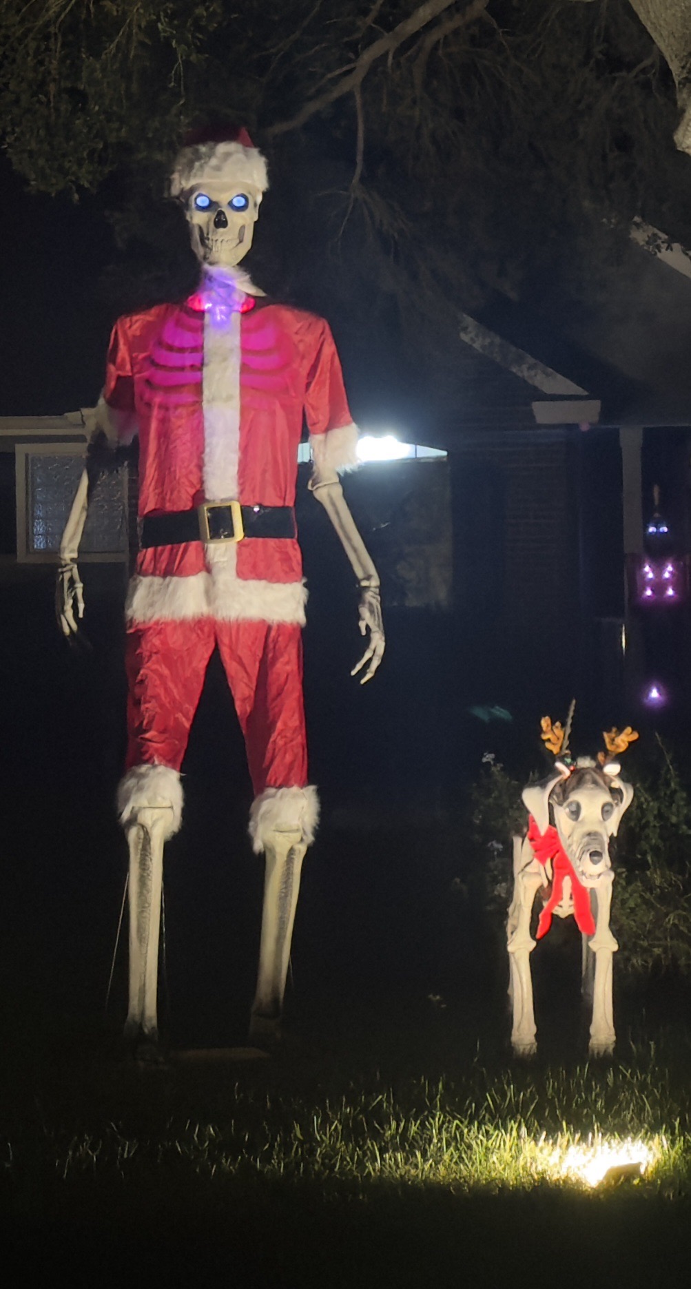 Christmas Yard Display, Christmas lights in Winter Haven, FL (photo 4)