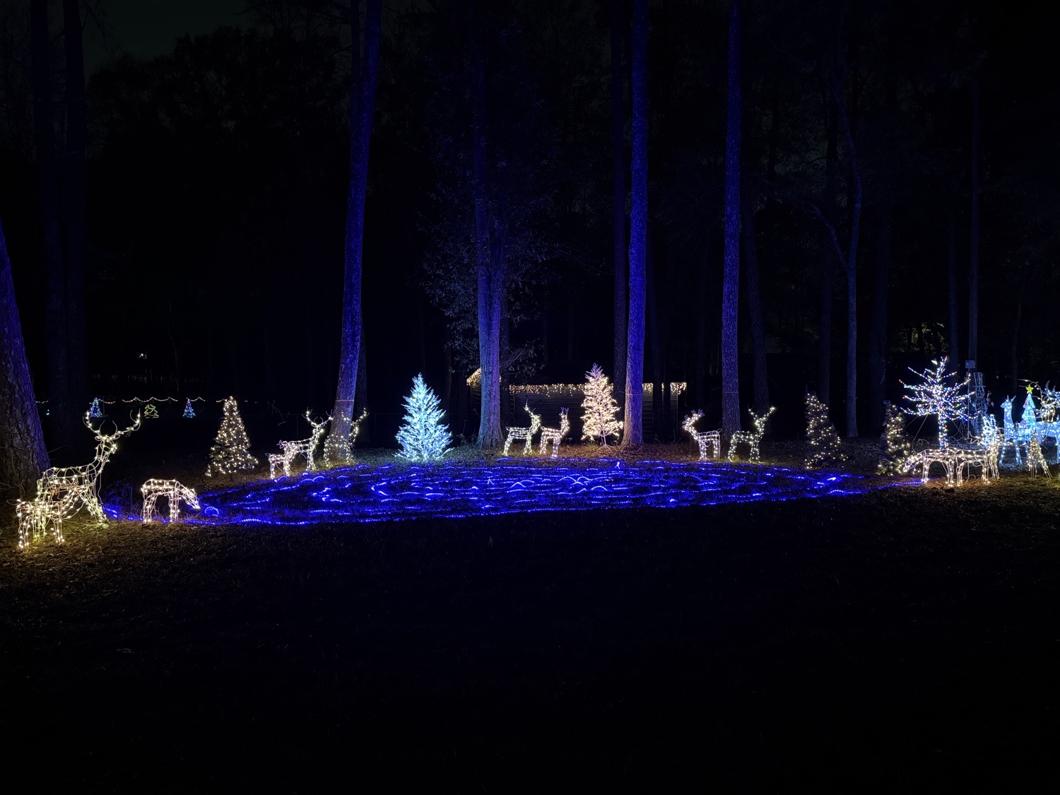 Flynntastic Holiday Spectacular, Christmas lights in Locust Grove, GA (photo 4)