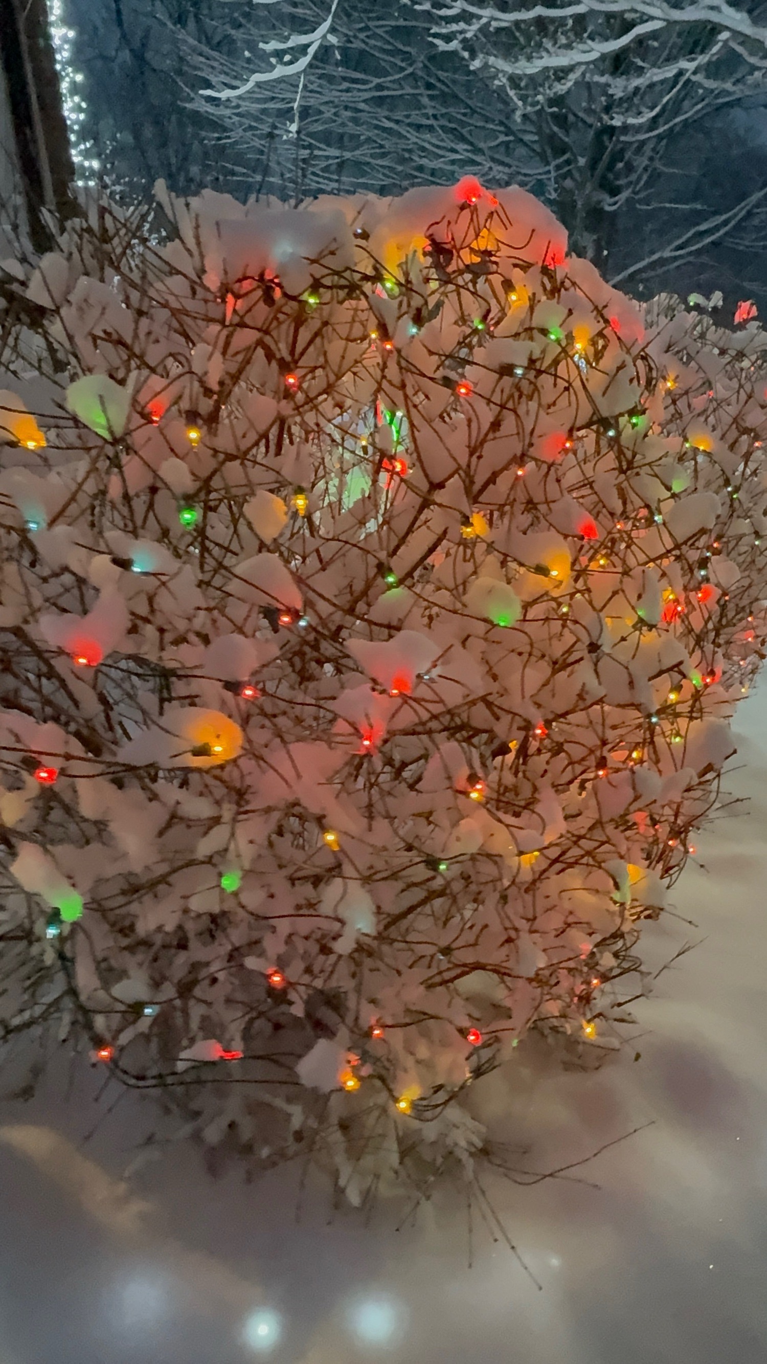 2025 Christmas Lights, Christmas lights in Granville, OH (photo 2)