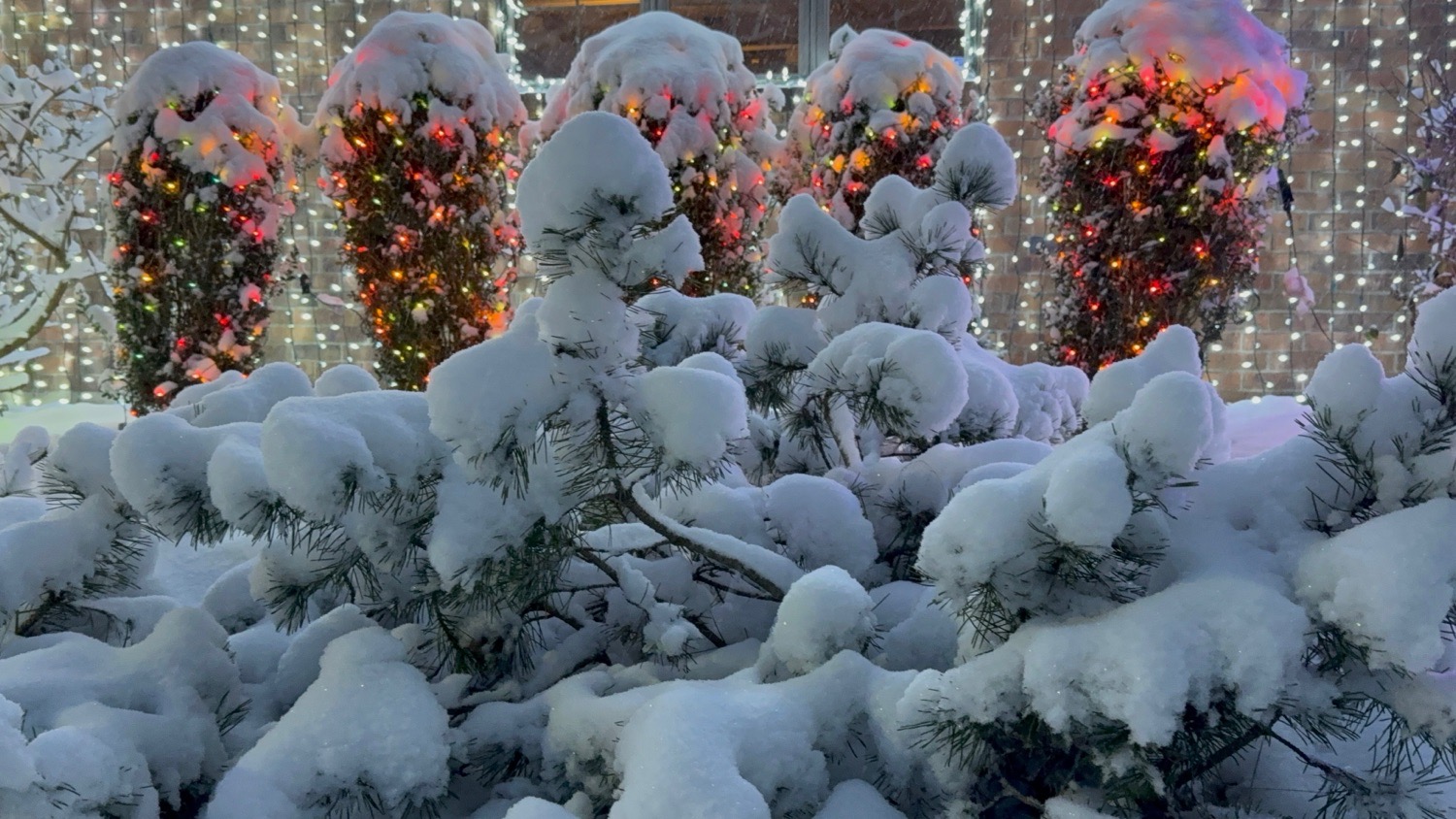 2025 Christmas Lights, Christmas lights in Granville, OH (photo 5)