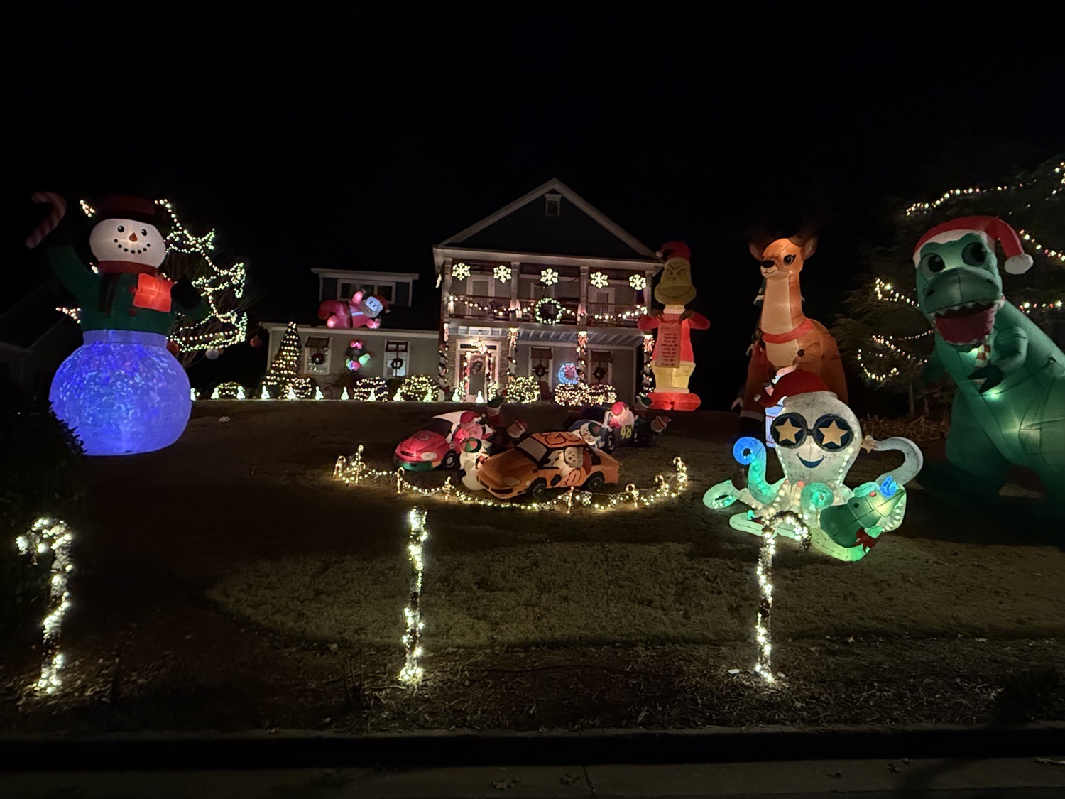 Gardner’s Christmas, Christmas lights in Ball Ground, GA (photo 1)
