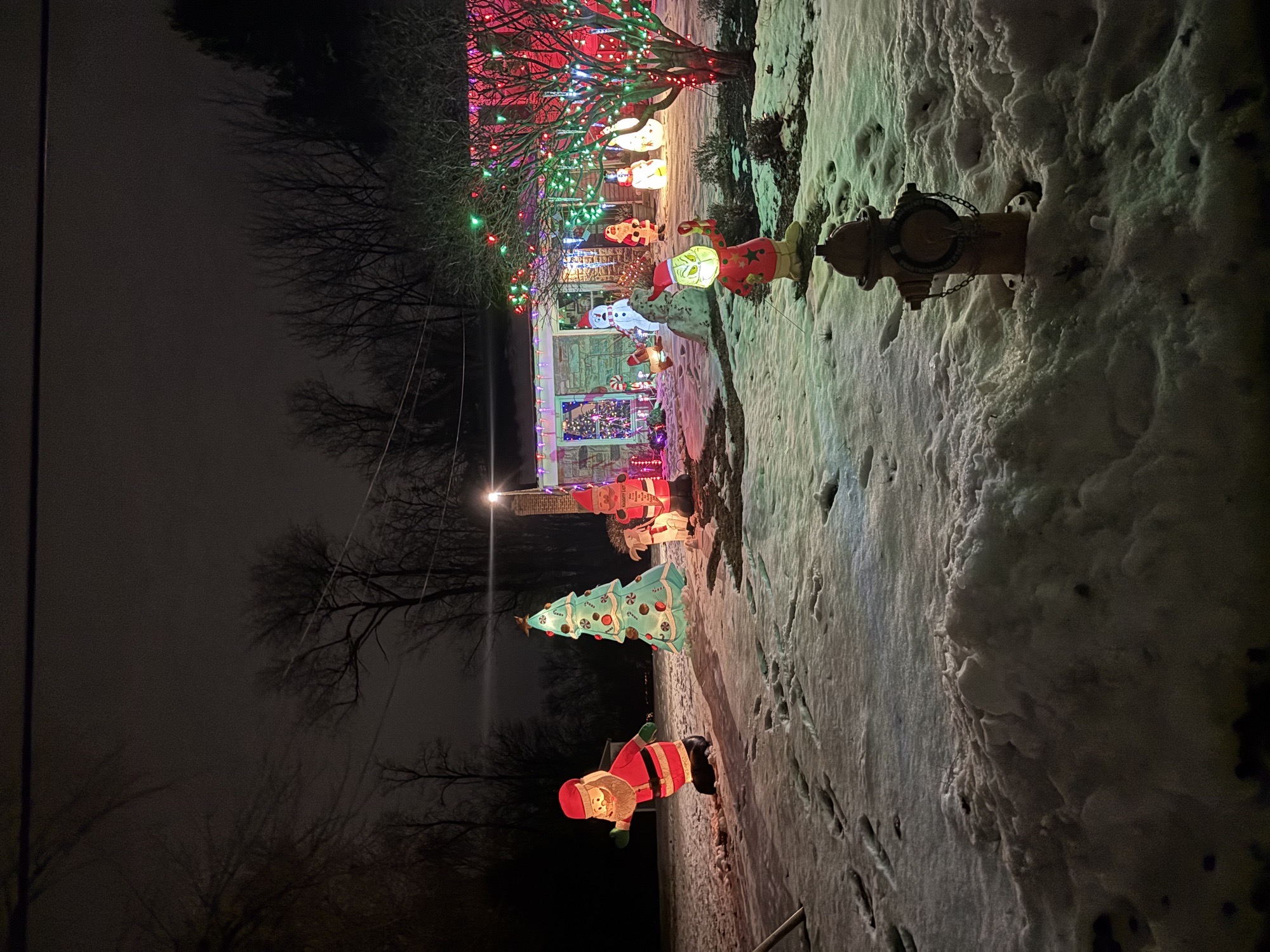 Winter Wonderland, Christmas lights in West Chester, PA (photo 1)