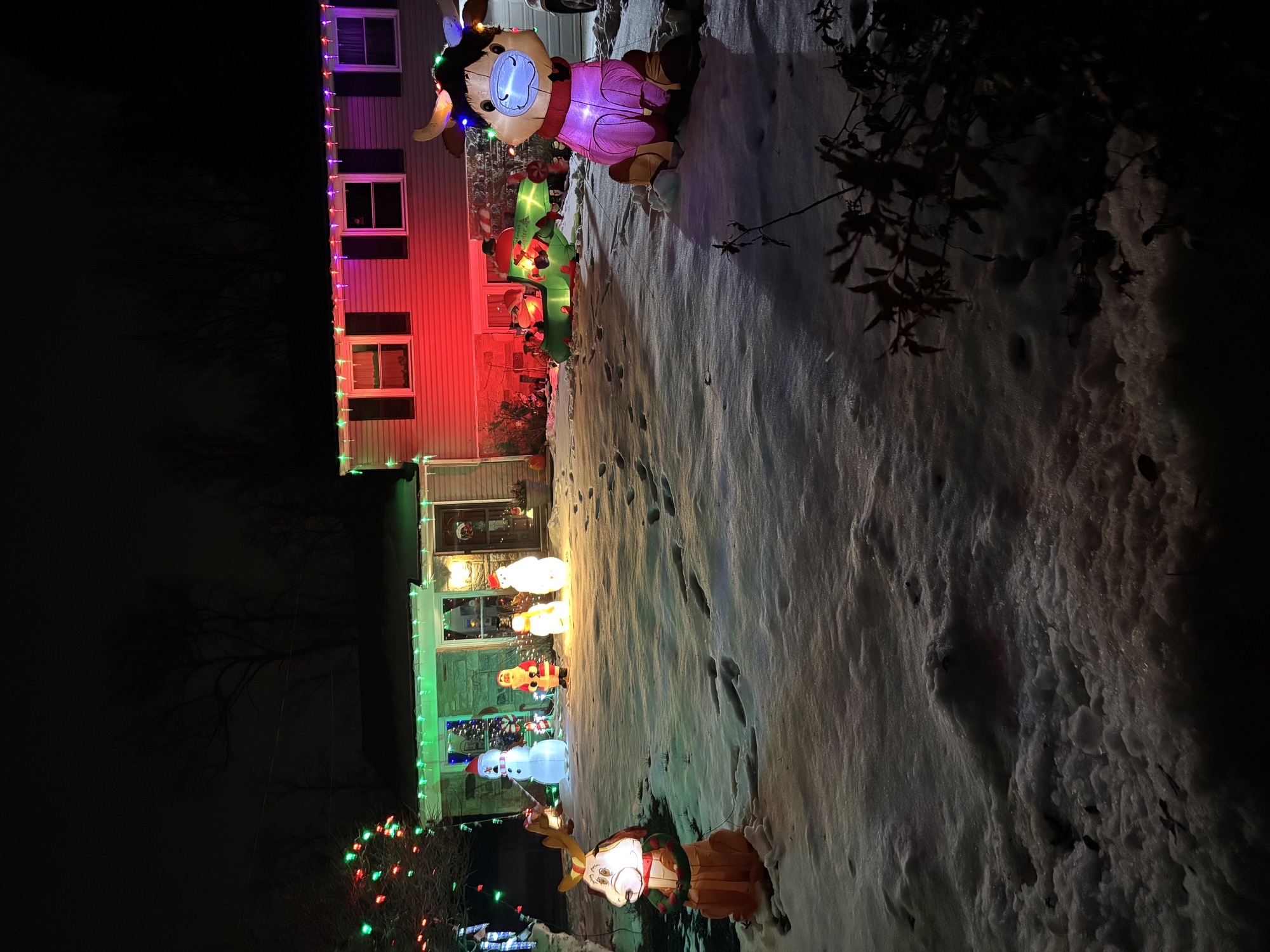 Winter Wonderland, Christmas lights in West Chester, PA (photo 3)