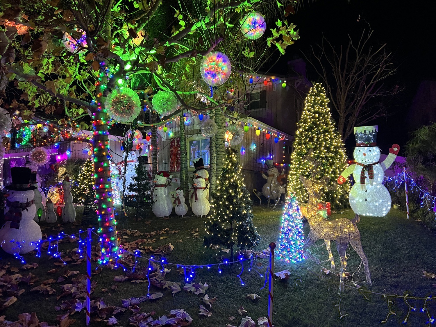 Snowmen Gone Wild, Christmas lights in Temecula, CA (photo 3)