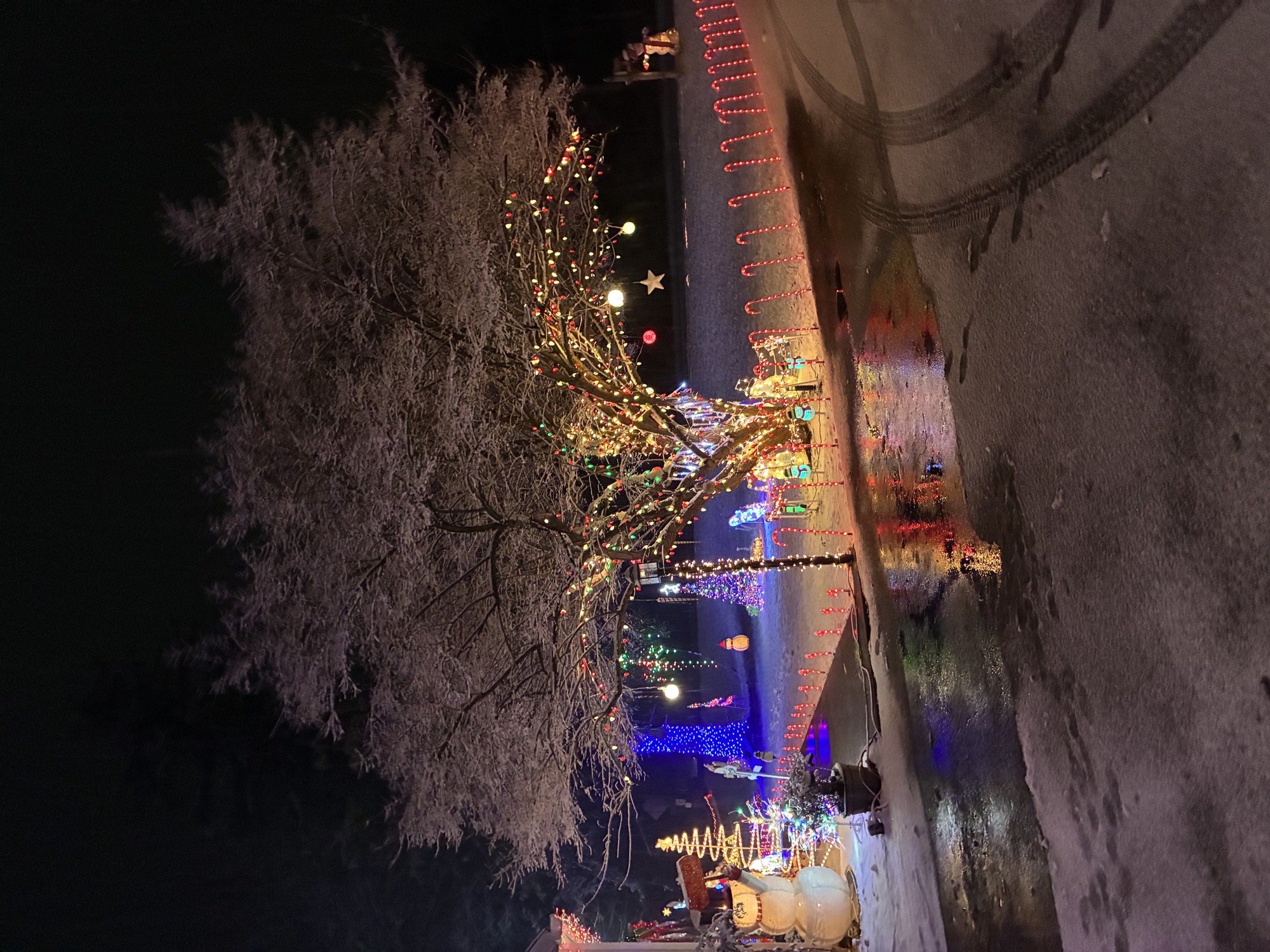 Snowman Land, Christmas lights in West Chester, PA (photo 1)