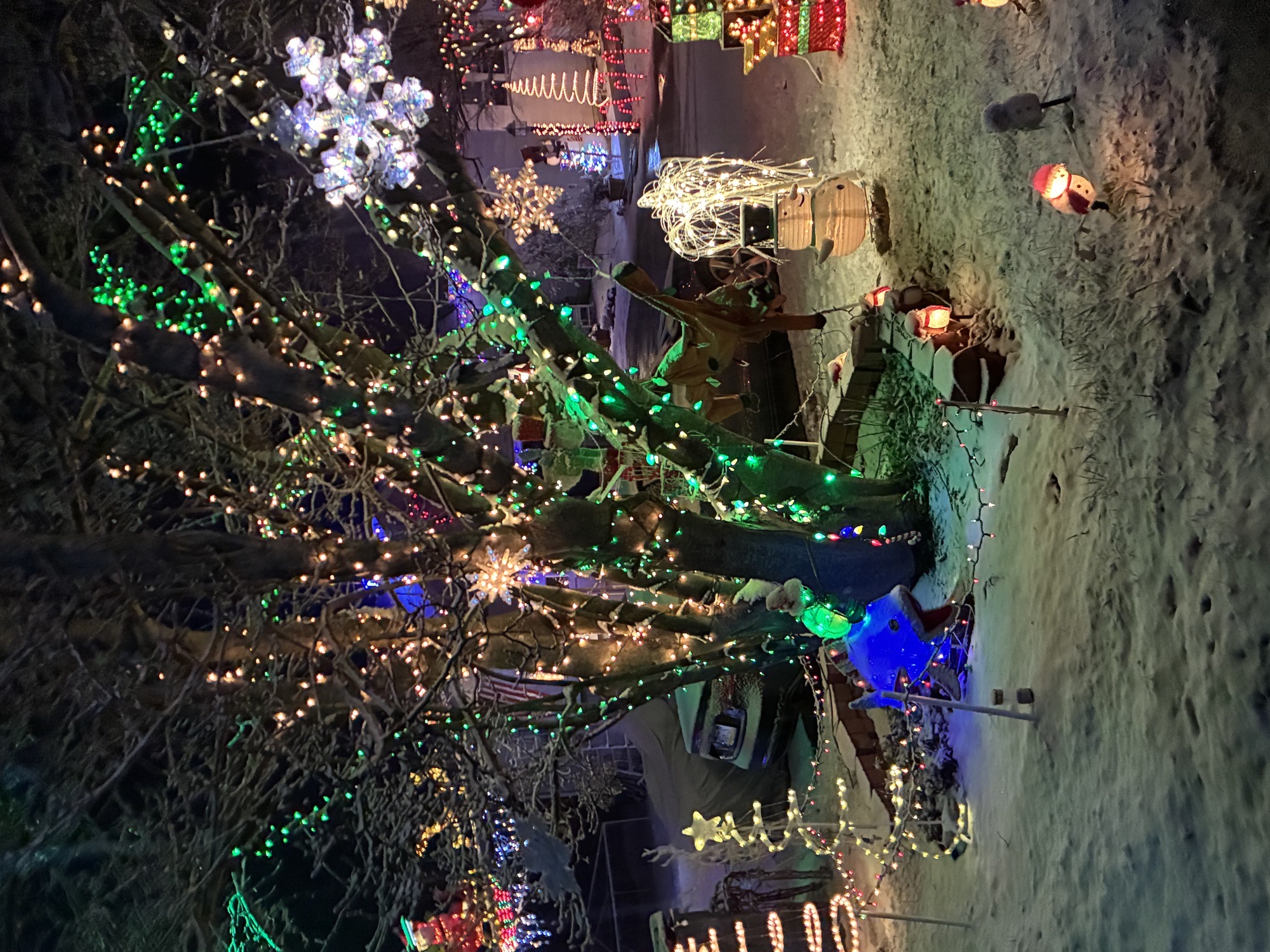 Snowman Land, Christmas lights in West Chester, PA (photo 2)