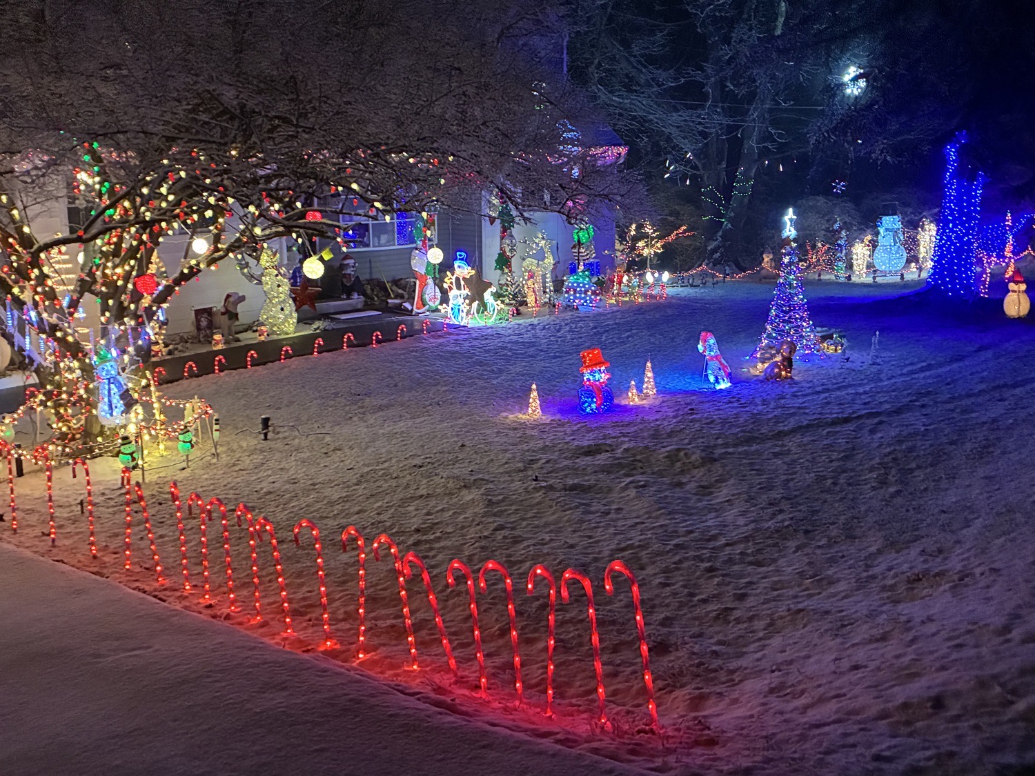 Snowman Land, Christmas lights in West Chester, PA (photo 3)